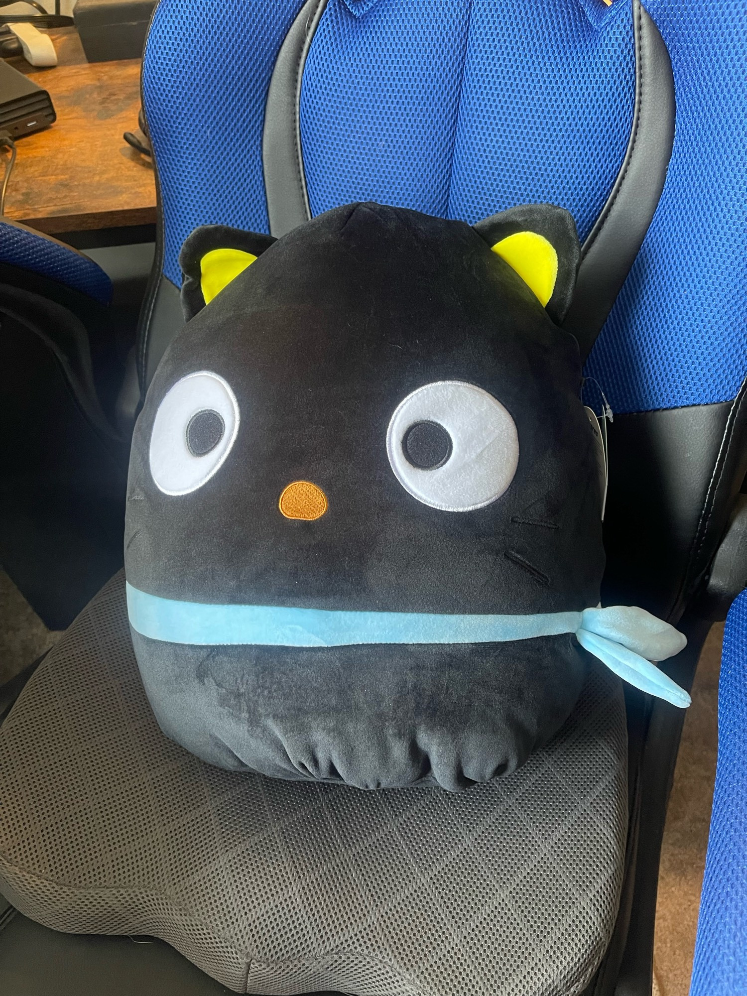 Ginormous Chococat Squishmallow