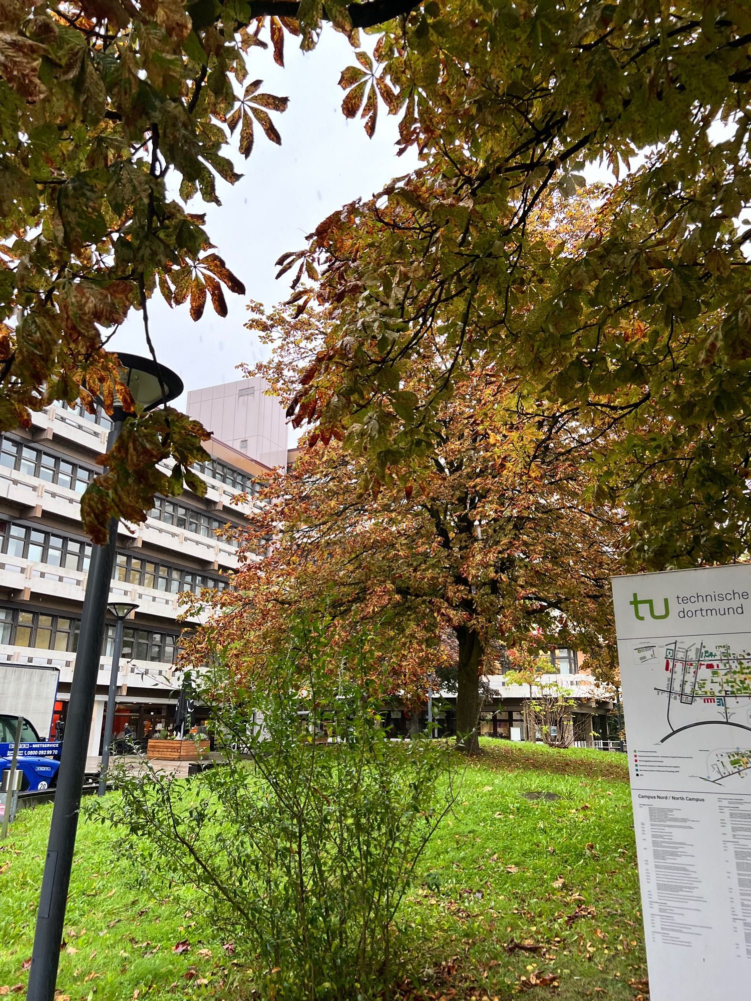 Universitätscampus mit Herbstbäumen