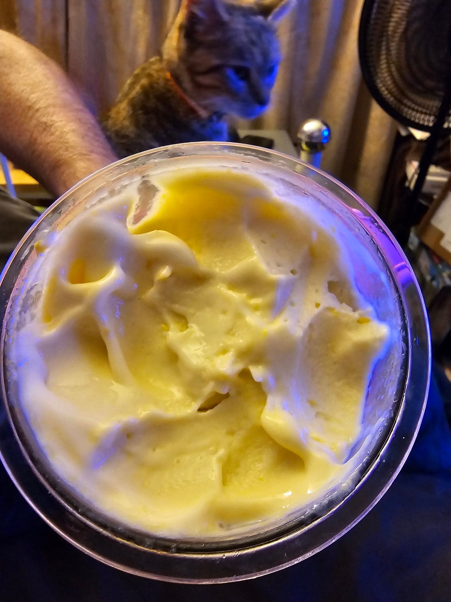 Yellow ice cream in a clear container with a cat who looks like she is ignoring it in the background.