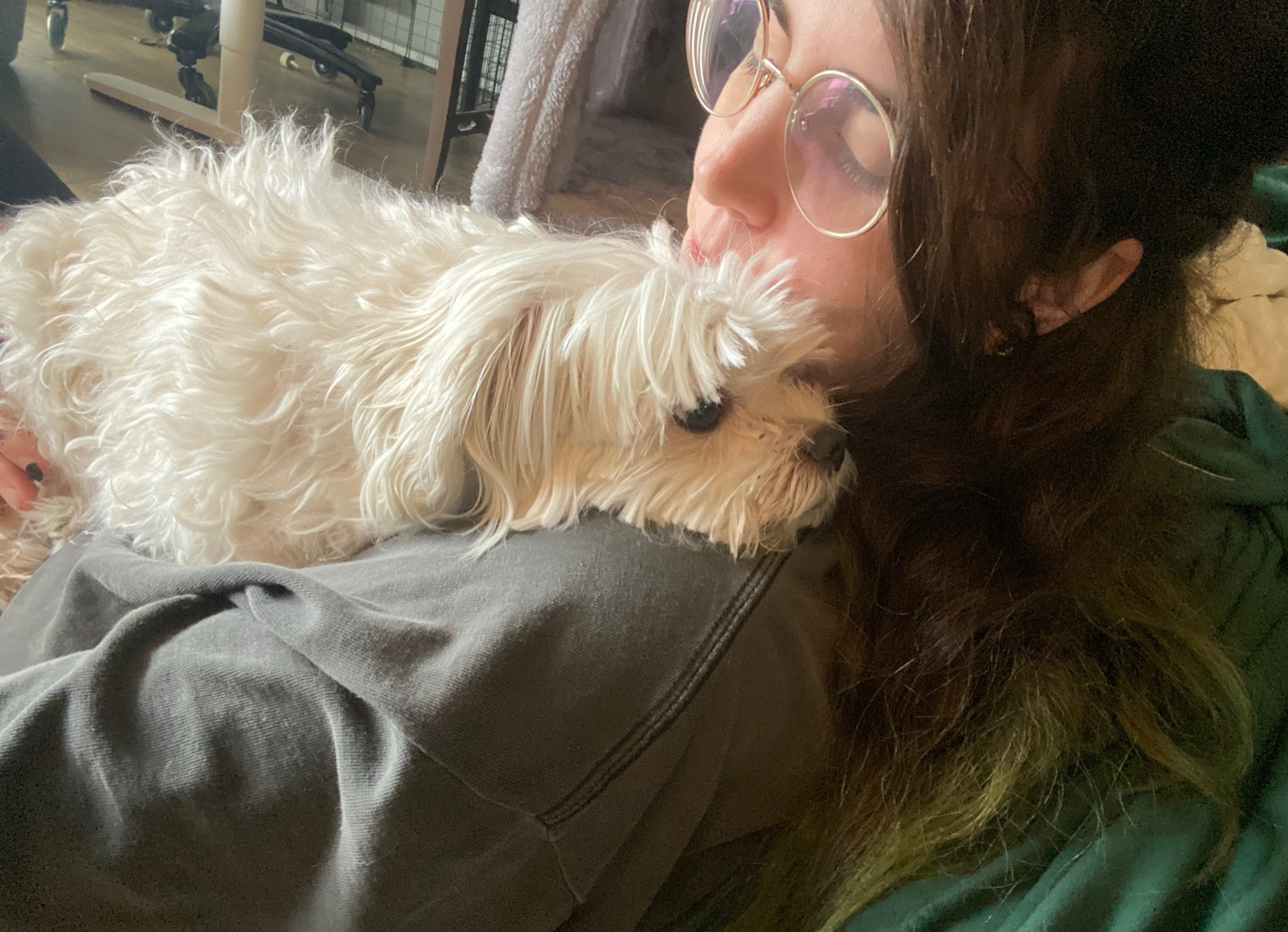 seamus the little white dog sleeping on TQs shoulder