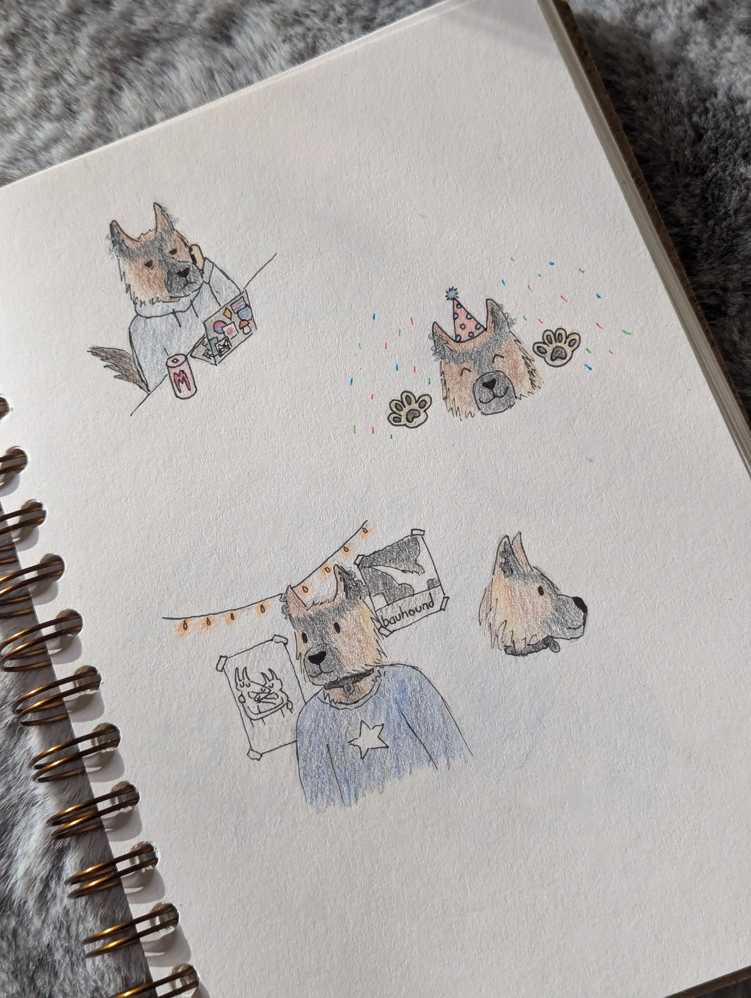 Photo of a sketchbook page with four coloured pencil drawings of an anthro German Shepherd. In the first, he looks tired, and is sat at a desk with a laptop and a can of Monster Energy. In the second, he is smiling and wearing a party hat. In the third, he is in front of two band posters with fairy lights behind him. In the fourth, he is facing to the right in profile.