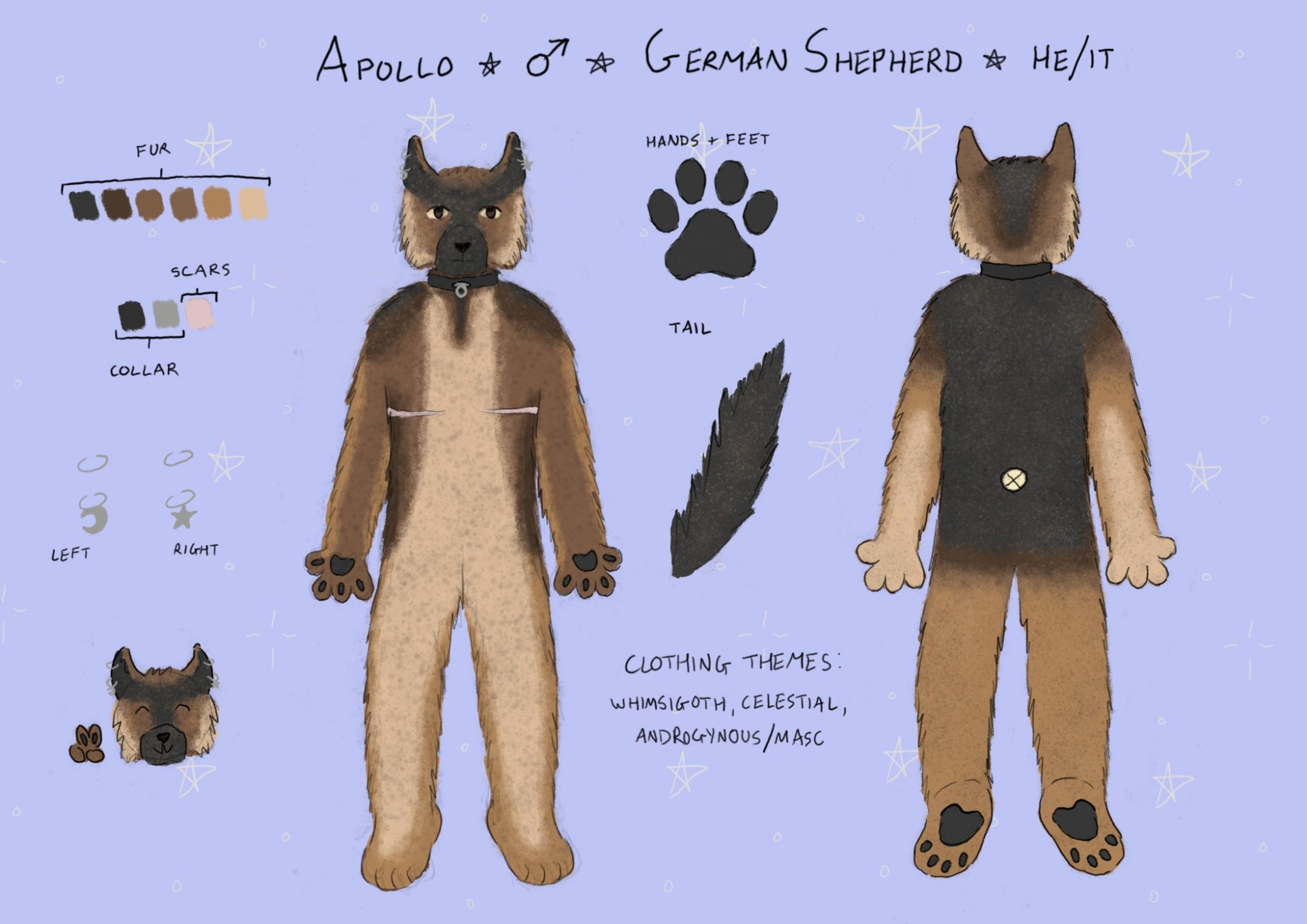 Reference sheet for an anthro German Shepherd. It has a front and back view, and a chibi headshot in one corner. There are colour palettes for his fur, top surgery scars, and collar, as well as close ups of his earrings, paw pads and tail. Text reads "Apollo. [male symbol] German Shepherd. He/it."