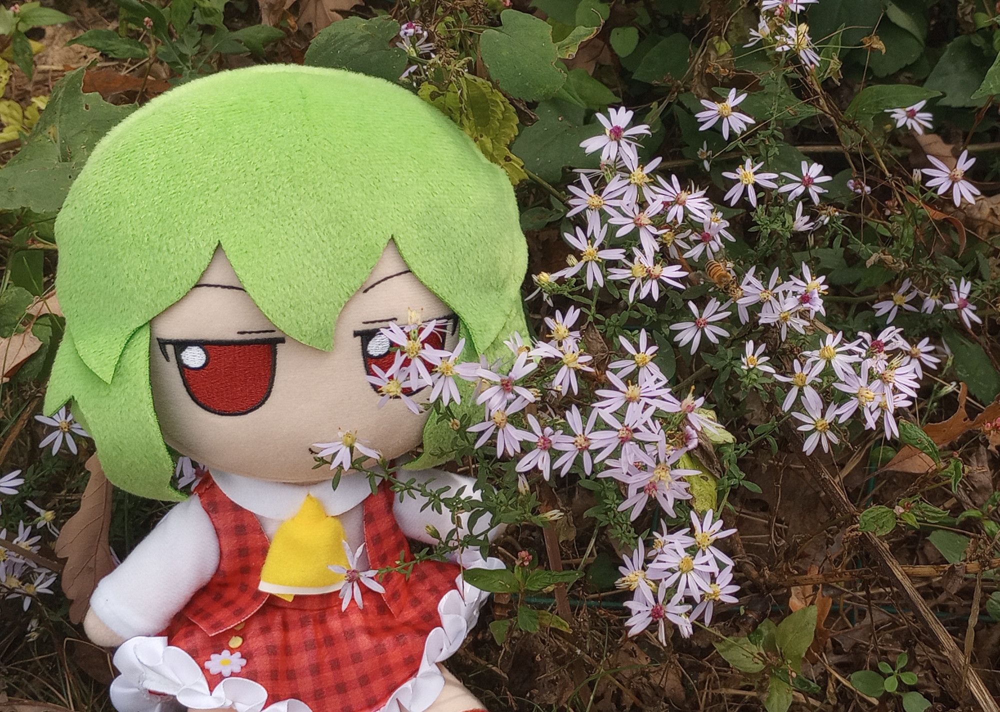 Yuuka fumo looking at Blue Wood Asters clustering the center and right. There is a tiny honeybee collecting nectars by her.