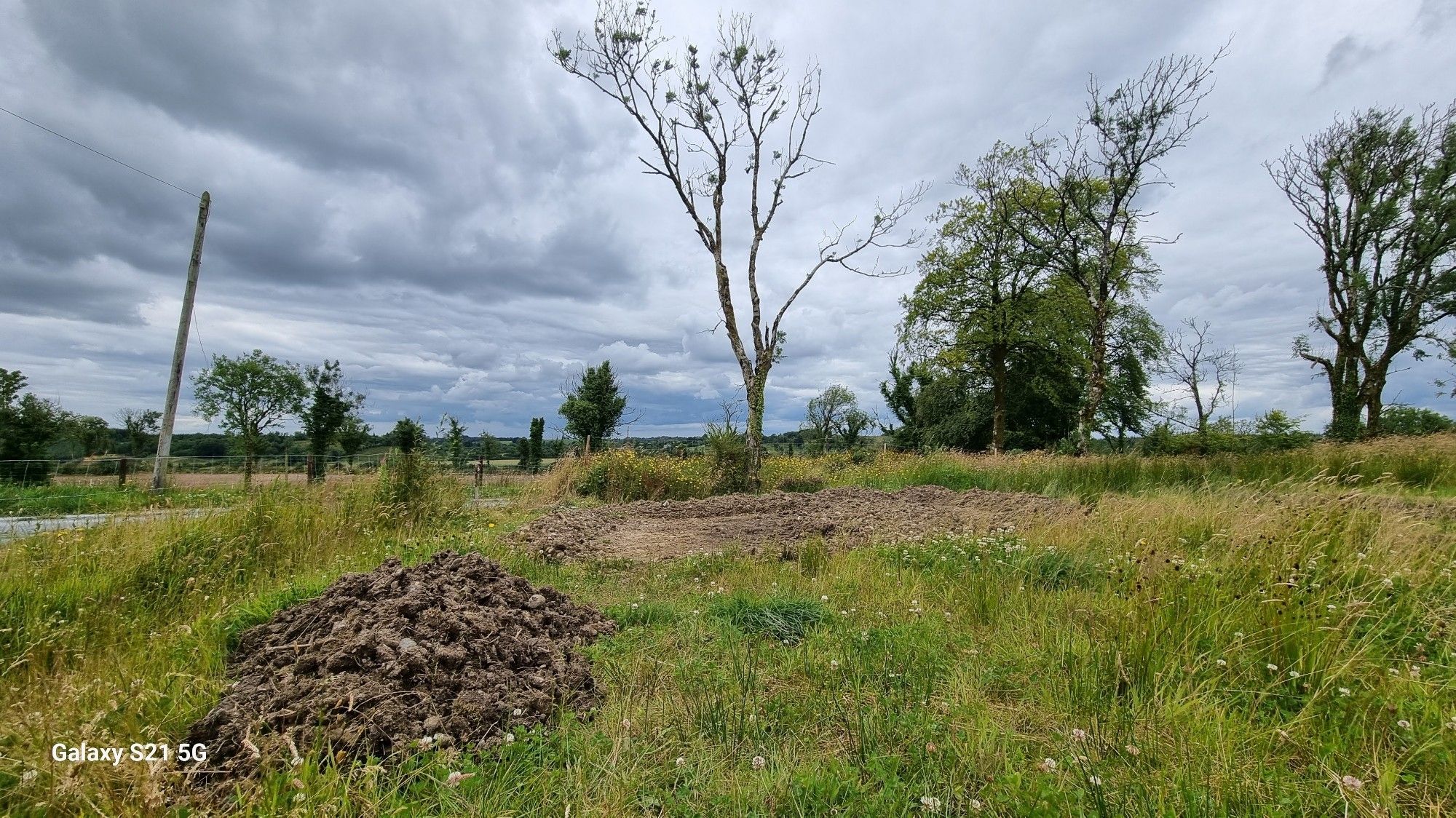 Meadow with a pile of soil and the start of a dug out pond. Trees and bushes in the back