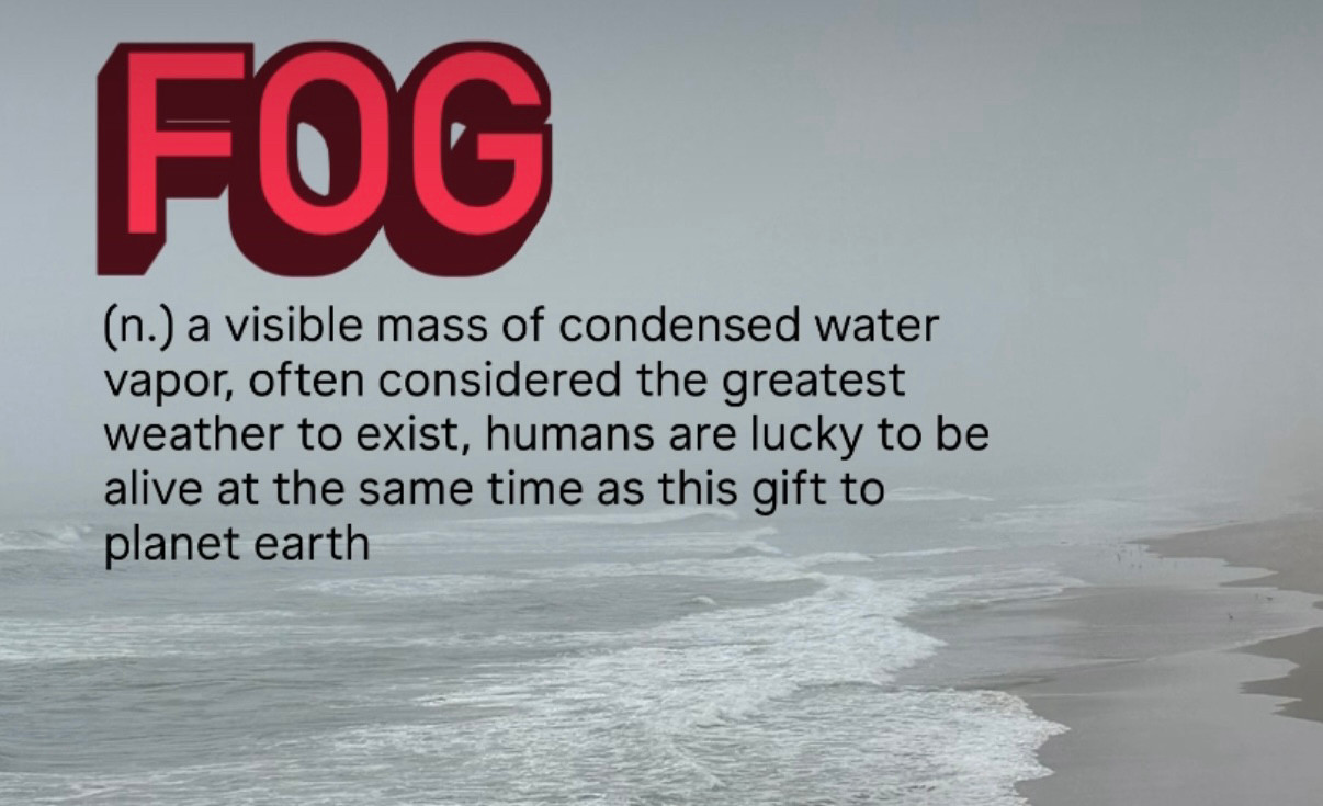 A picture of fog with a caption: "a visible mass of condensed water vapor, often considered the greatest weather to exist, humans are lucky to be alive at the same time as this gift to planet earth"