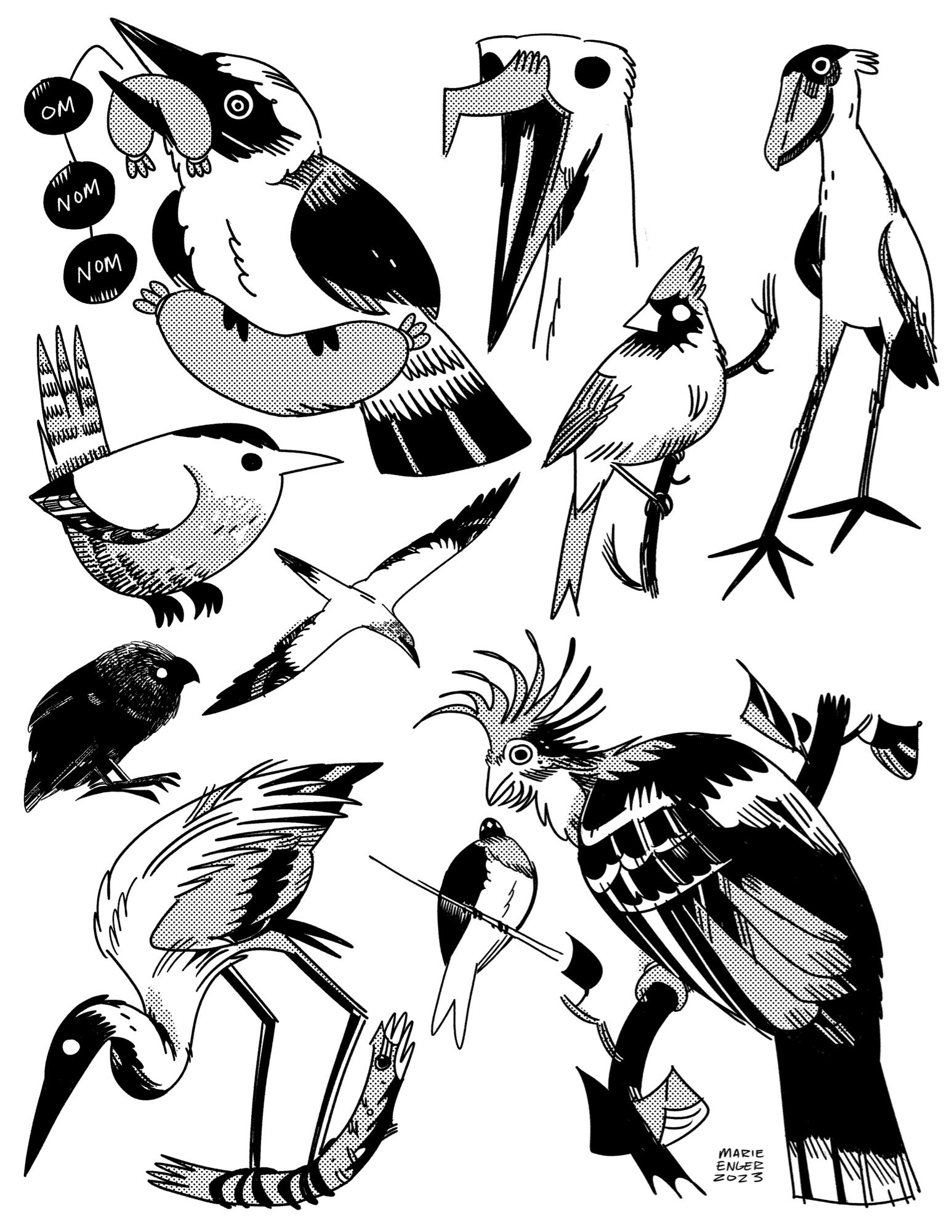 A graphic illustration of various types of birds including a kookaburra with a sausage, a heron, and an albatross.