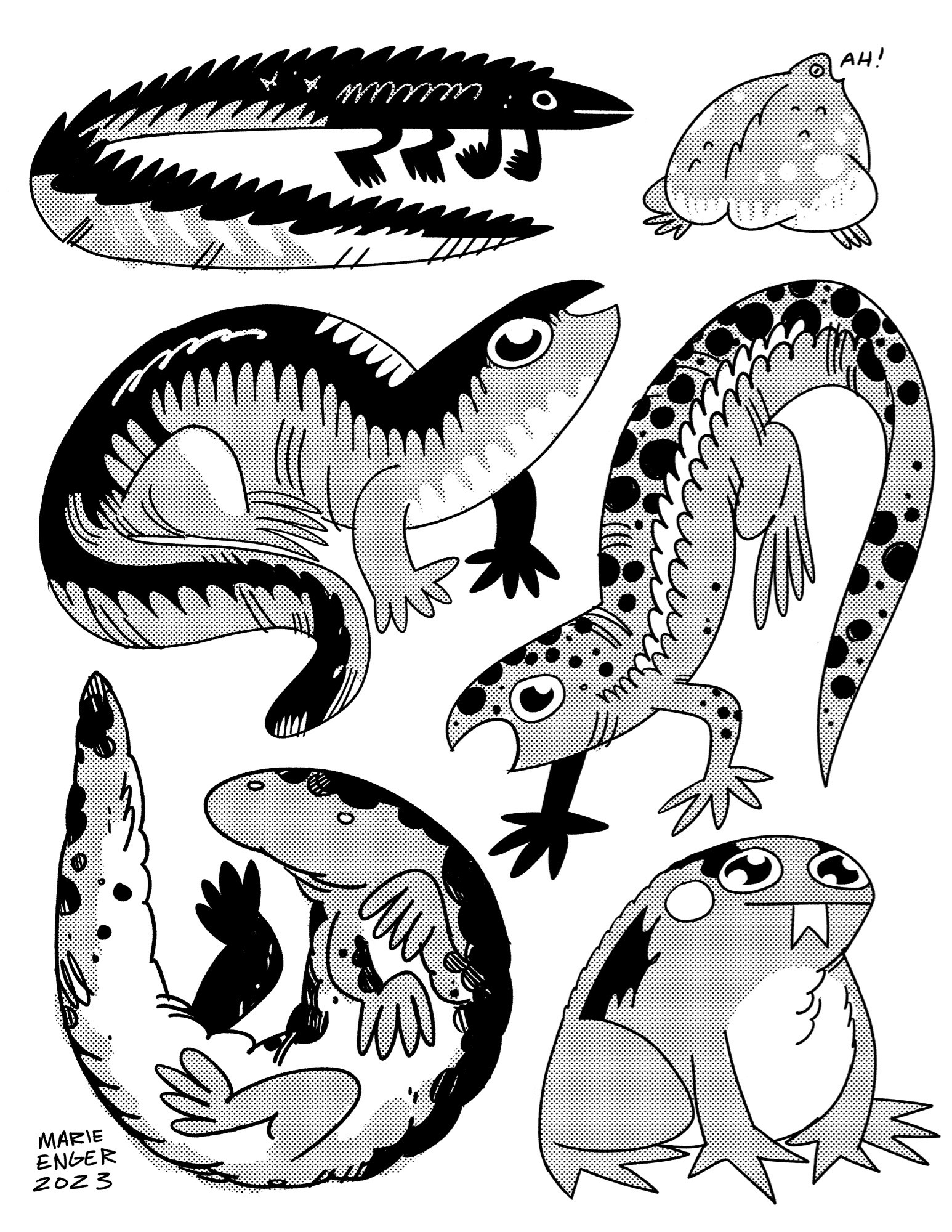 A flash sheet of amphibians