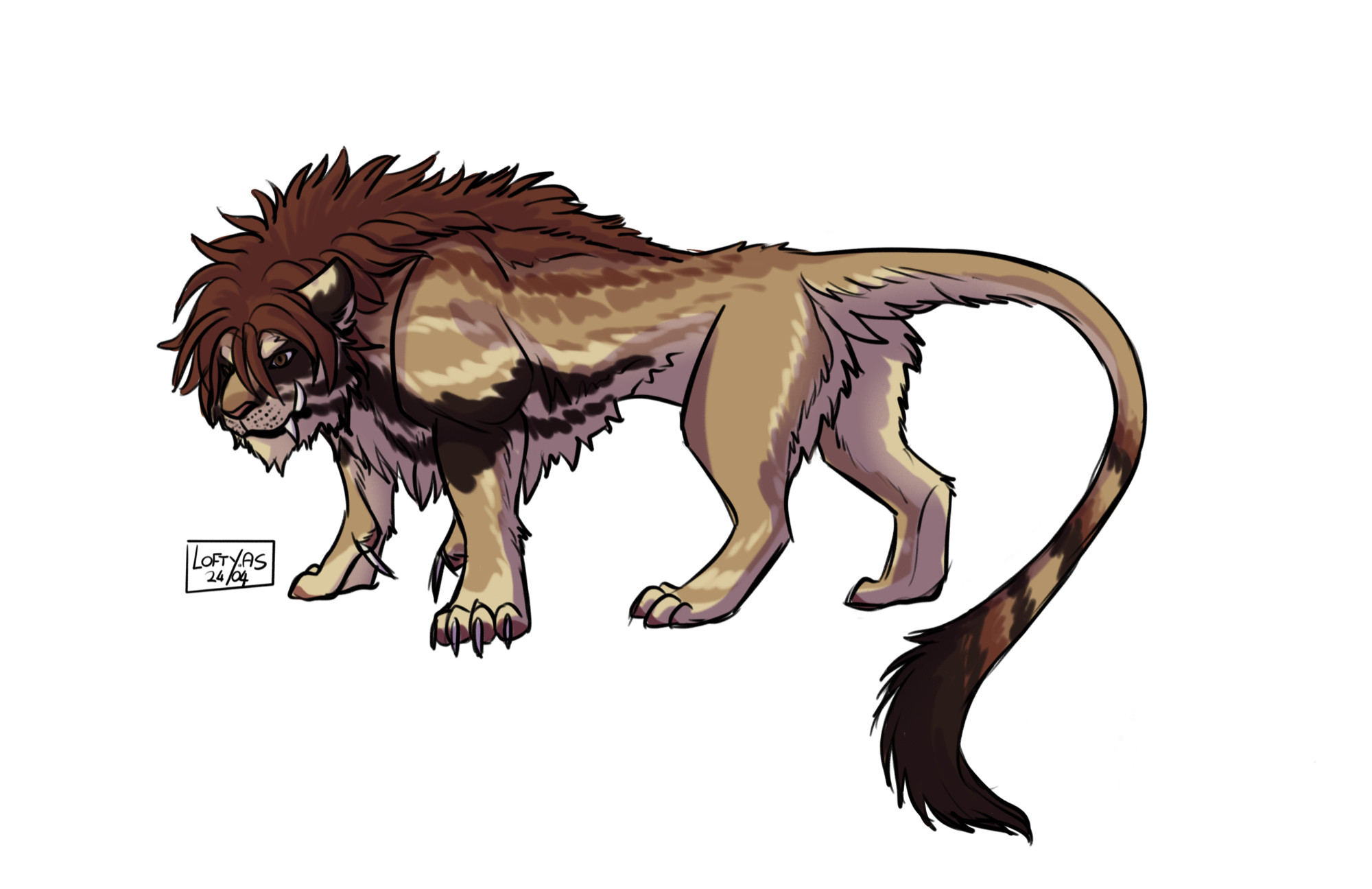 A rough coloured fullbody of a large front heavy sabre-toothed feline. He has a shaggy rusty coloured mane along his head and neck that ends in the middle of his back. 
He’s long furred on the belly and his main pelt is varying tans and soft browns.