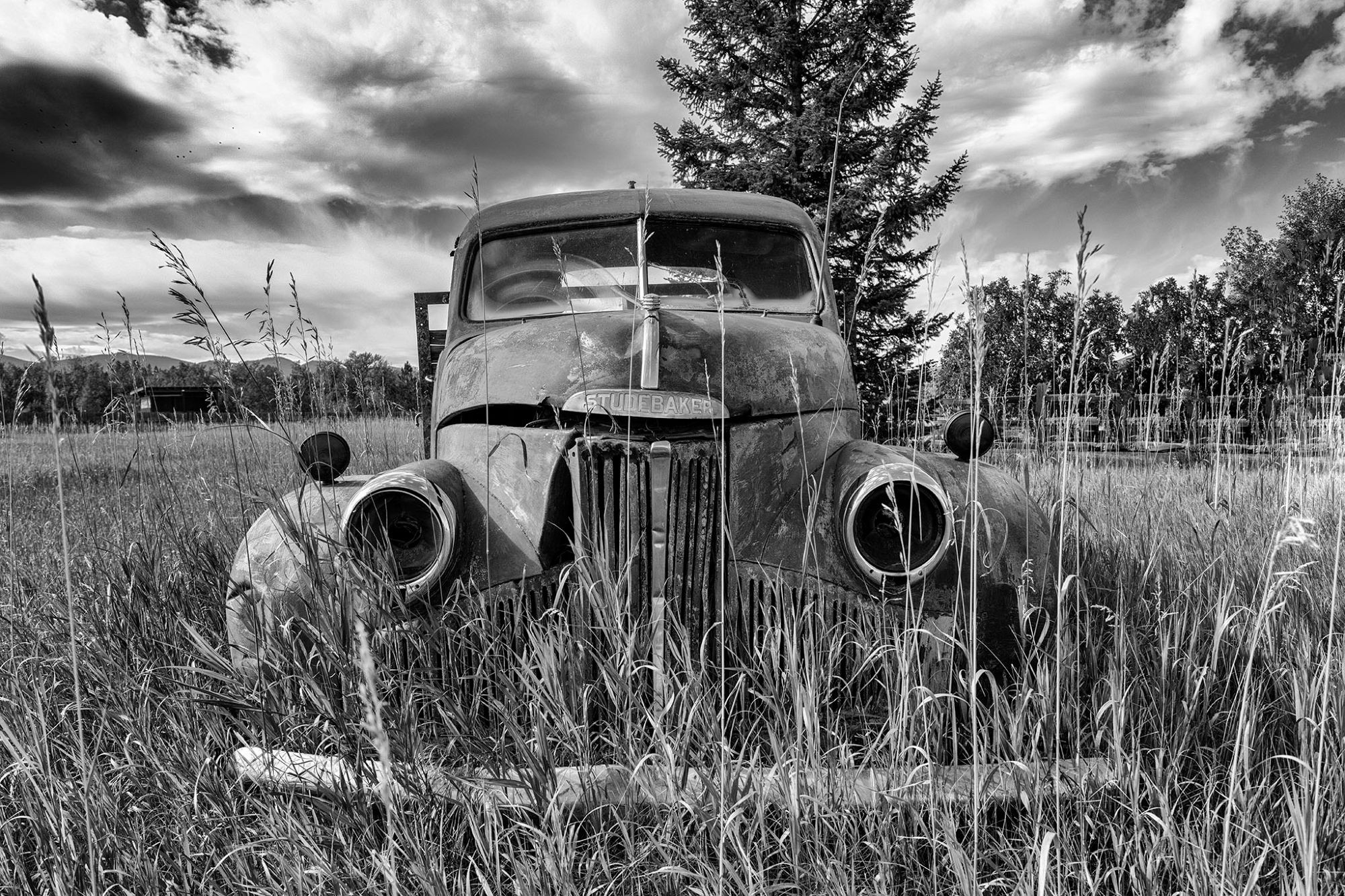 Head-on view of an old Studebaker farm truck surrounded by tall grass with trees in the background. The headlights are broken and the truck is pretty beat up. I think the truck is from the early 1940s.