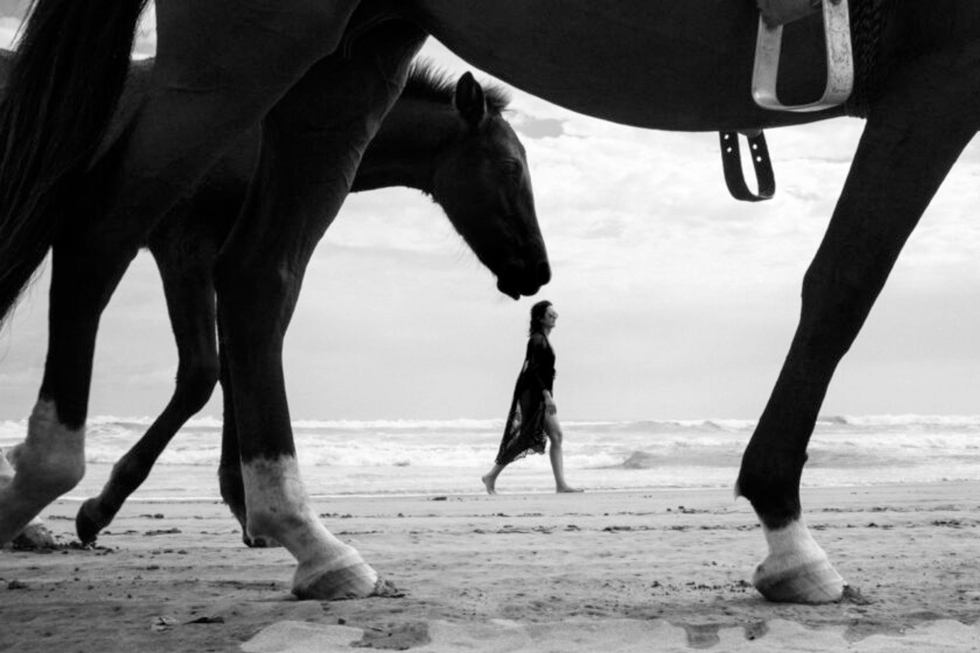 Una fotografia in bianco e nero cattura una scena suggestiva su una spiaggia sabbiosa. In primo piano, le gambe e la parte inferiore del corpo di due cavalli sono ben visibili. Le gambe dei cavalli incorniciano una donna che cammina sullo sfondo, con la testa di un cavallo che sembra grande in confronto a causa della prospettiva. La donna cammina lungo la costa da sinistra a destra, indossando pareo. Le onde del mare sono visibili sullo sfondo, insieme a un cielo nuvoloso.