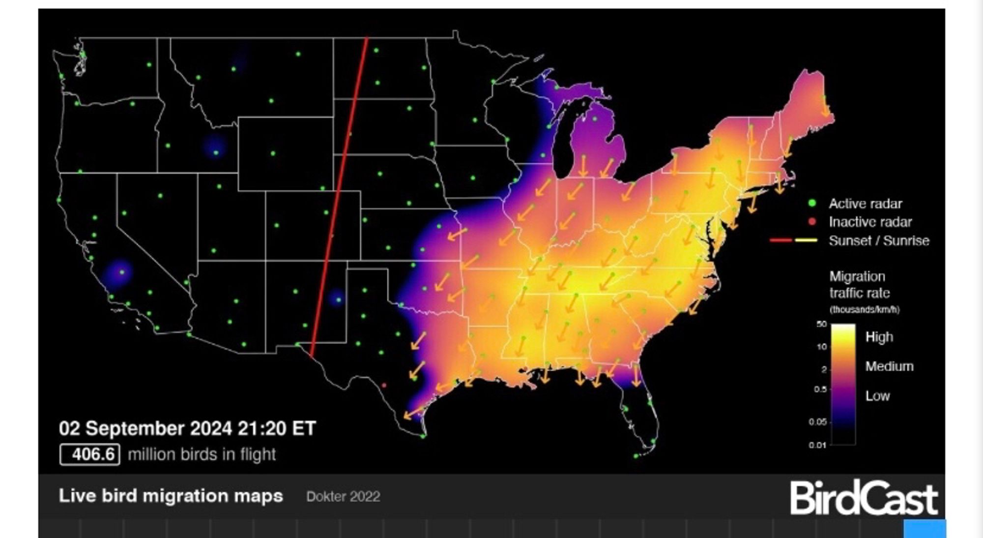 BirdCast map showing 406.6 million birds in flight at 9:20pm EDT. Migration is concentrated in the eastern part of the states and headed south. The sunset line is still visible from west of Texas up to North Dakota.