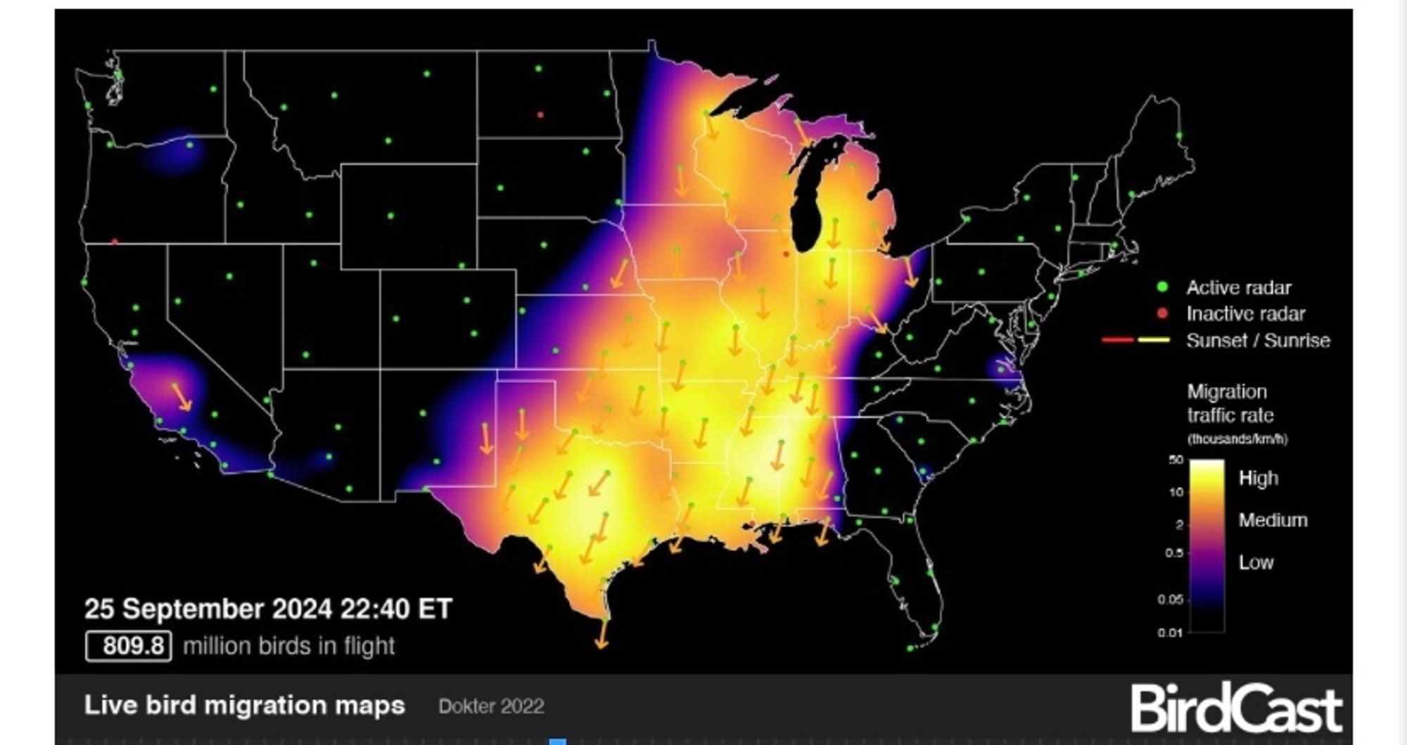 BirdCast map from the 25th of September, 2024. Over 800 million birds were in flight at 10:40pm, but all along the central flyway. Nothing migrating along the east coast.