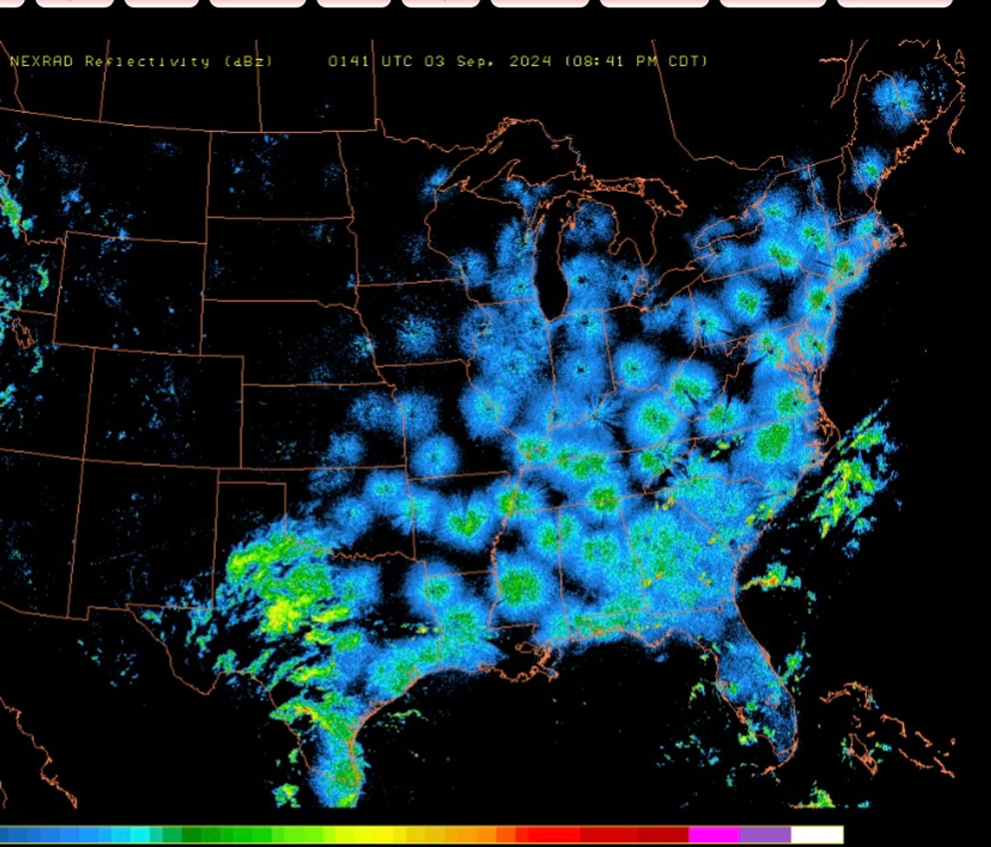 NEXRAD radar map with birds and weather on the radar.