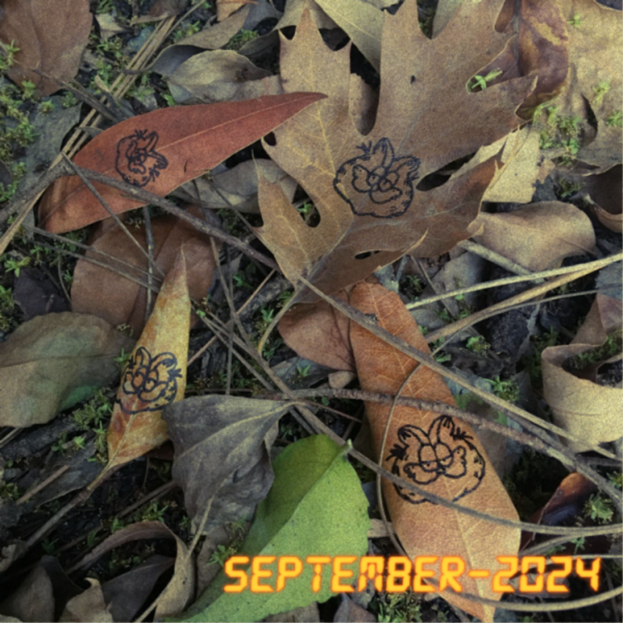 A grainy, '90s-cyan-film-look, tight-in photo of several leaves scattered in the dirt, they are in different stages of autumnal hue, from green yellows to reds. Four of the leaves have Garfield drawn on them in black pen. In the bottom right corner of the image is "September 2024" in a digital font, made to evoke the time stamp on old film cameras.