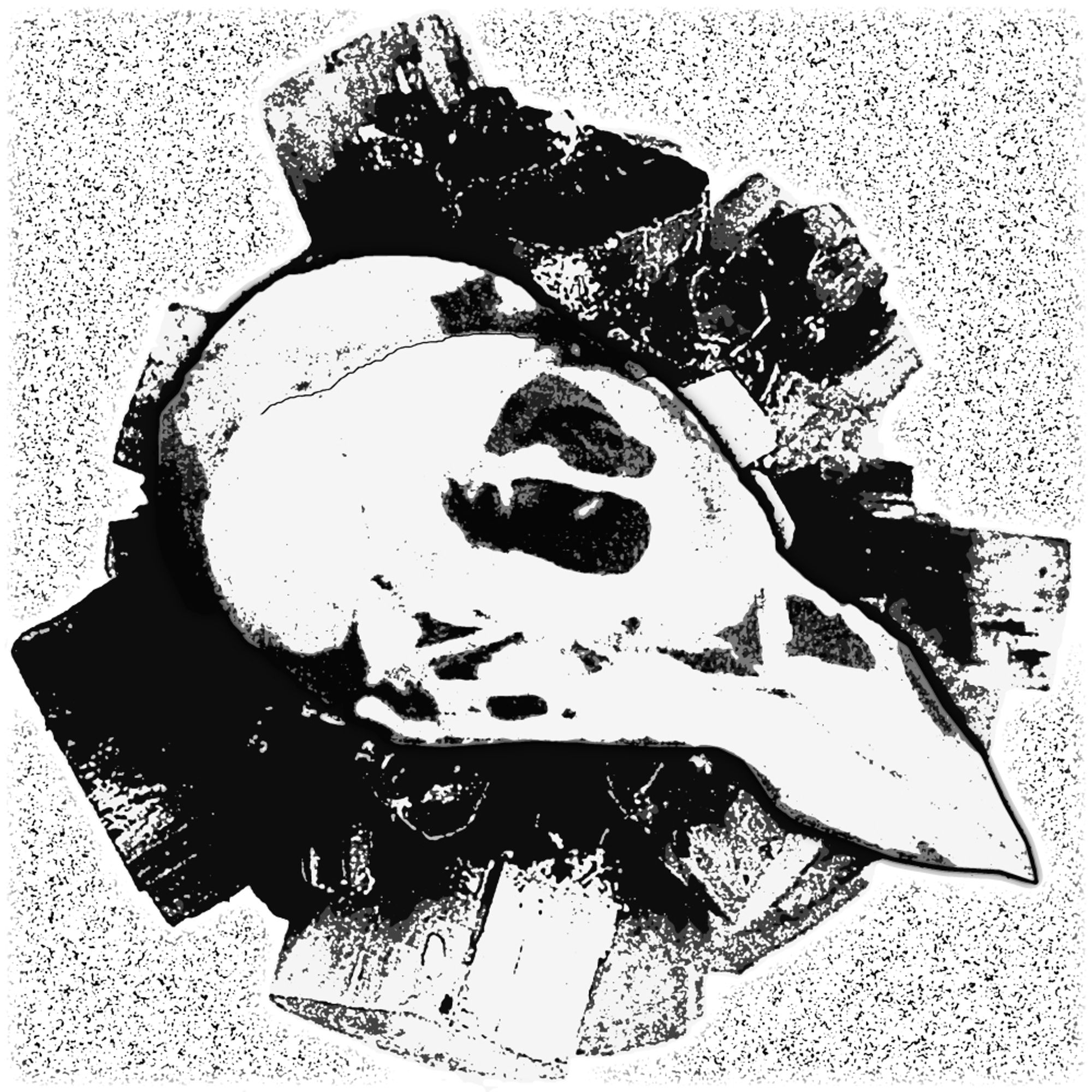 An image rendered in faux-photocopy style of a raven's skull centred over a crystalline burst.