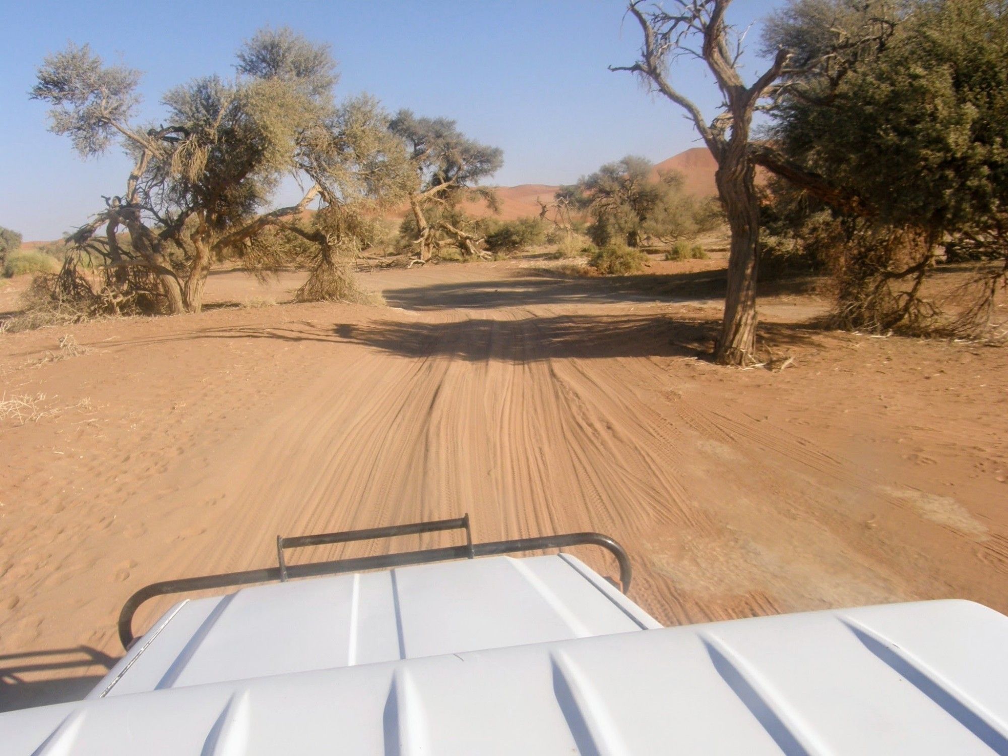 Verderop, minder schaduw, een pad tussen de bomen. Gefotografeerd over de motorkap van de 4x4 die je hier absoluut nodig hebt. We komen dichterbij de duinen.