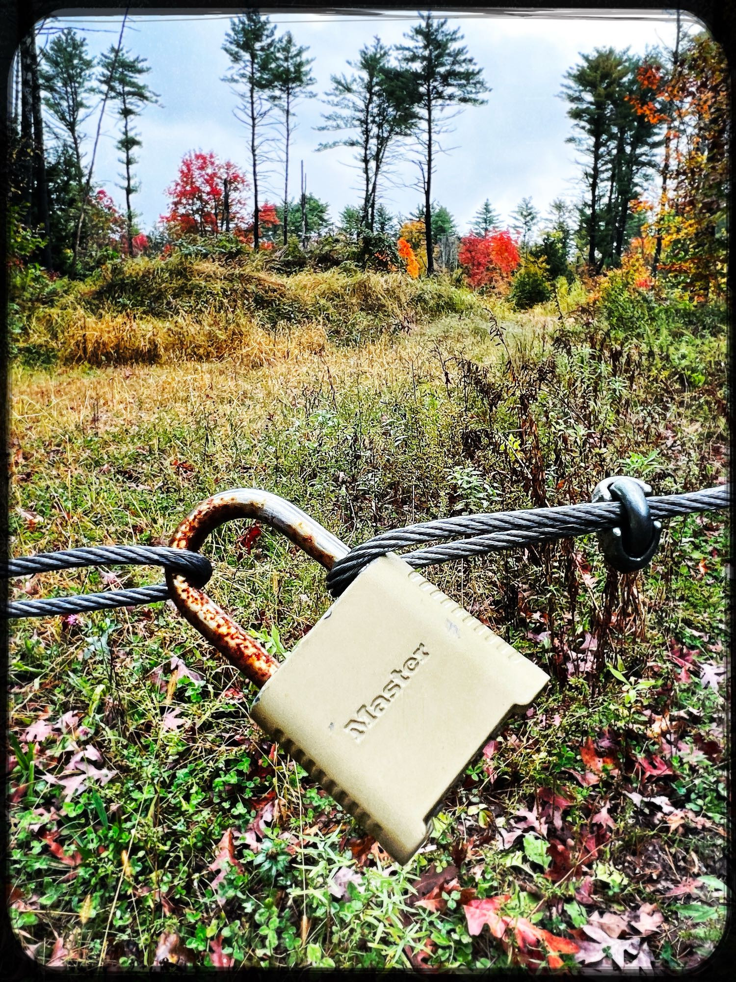 Padlock on wire barrier.