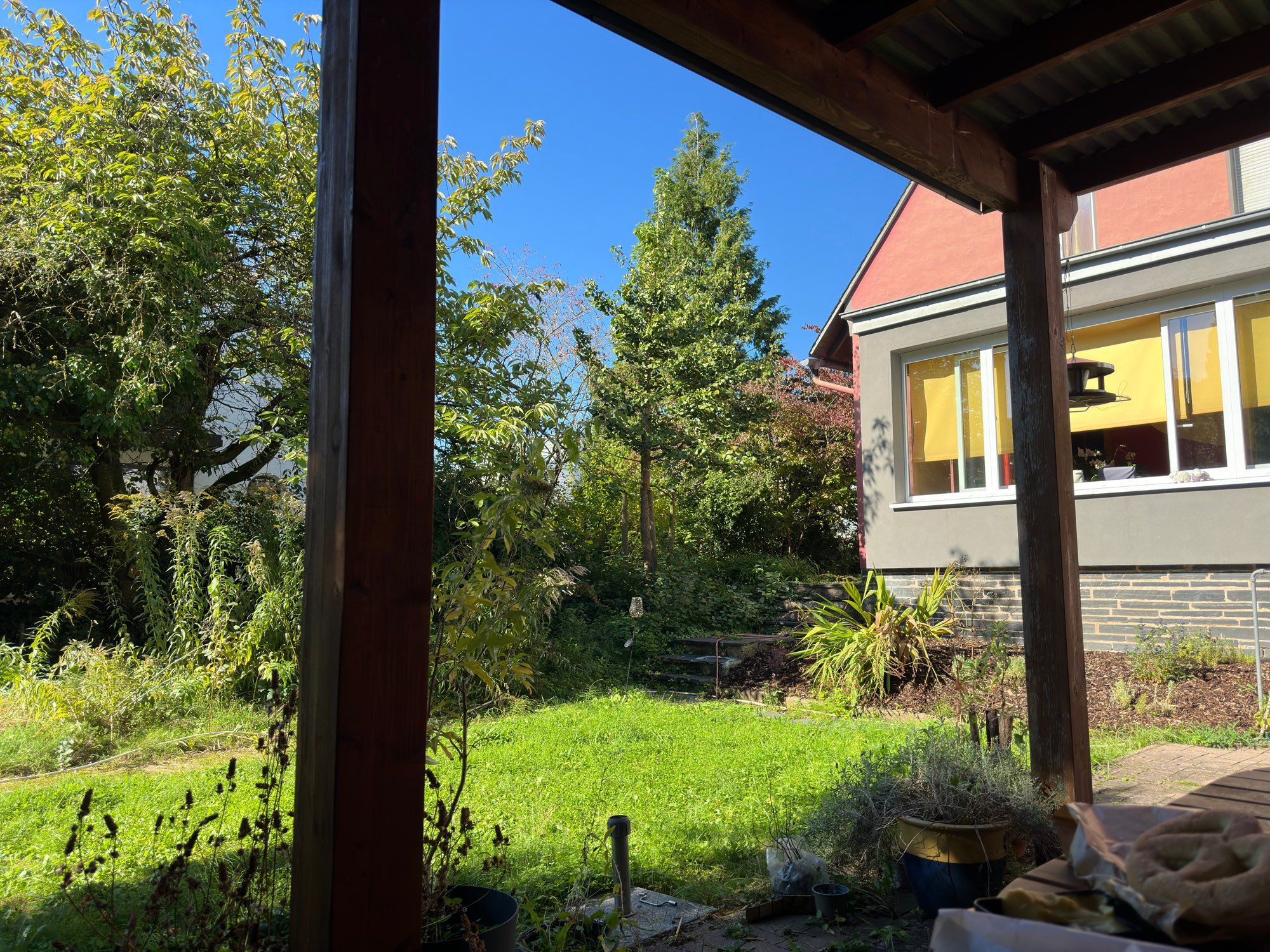 Blick in den Garten mit Sonbe und sattem Grün, blauem Himnel.