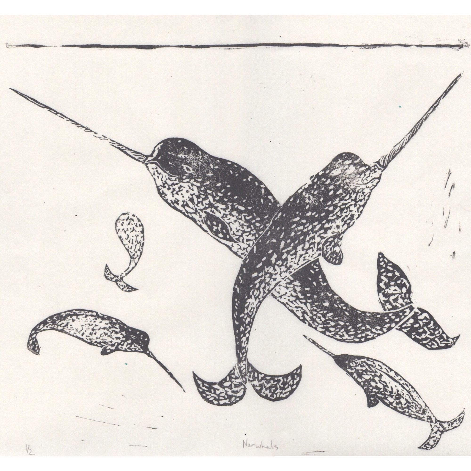 My linocut shows a collection of narwhal under water, printed in silver grey on white paper. There are two large whales viewed from the side crossed like an x with their horns up, and smaller narwhal going down and into the page (two in profile and one from behind).