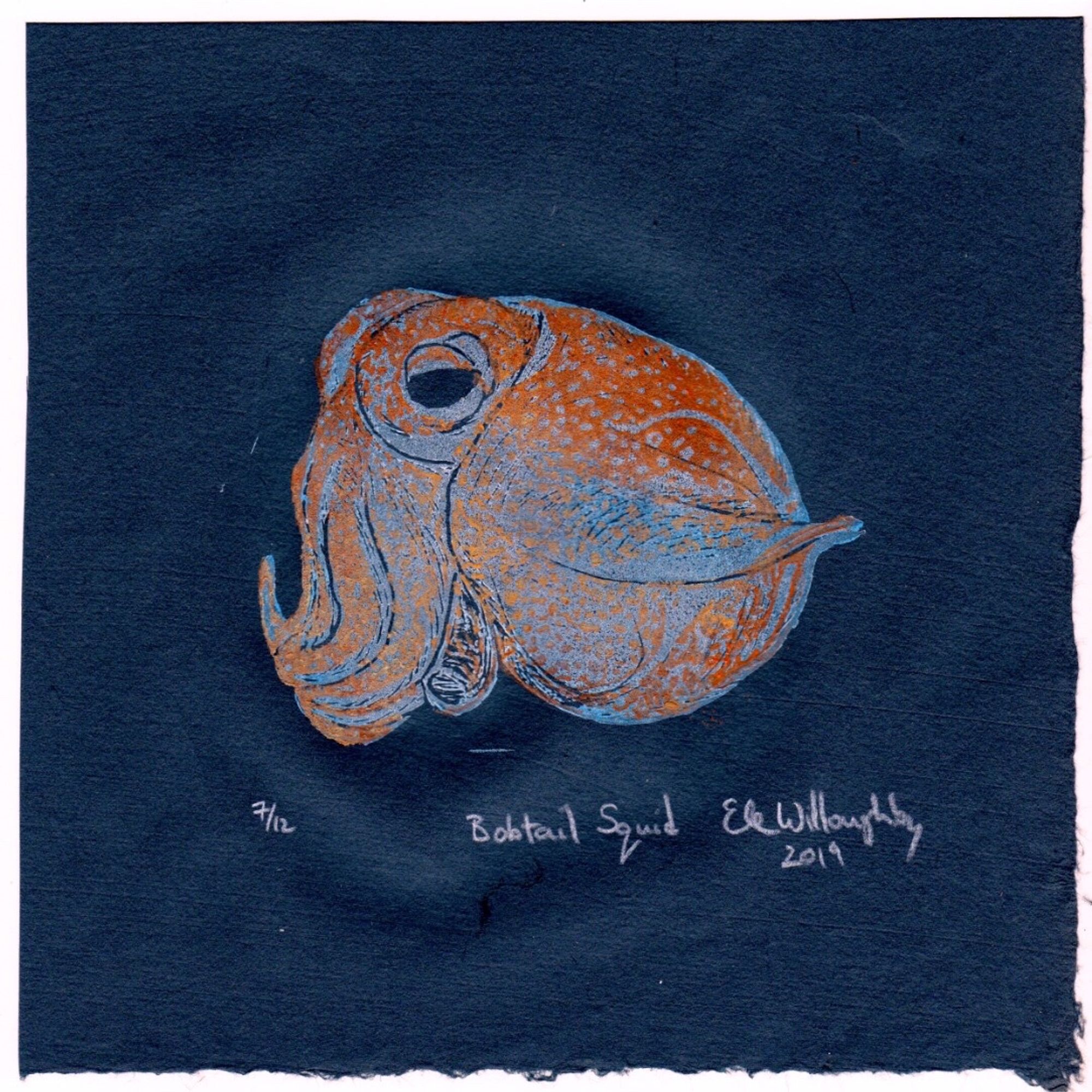 My cute and round little bobtail squid linocut in white and orange on 8” x 8” black washi paper.