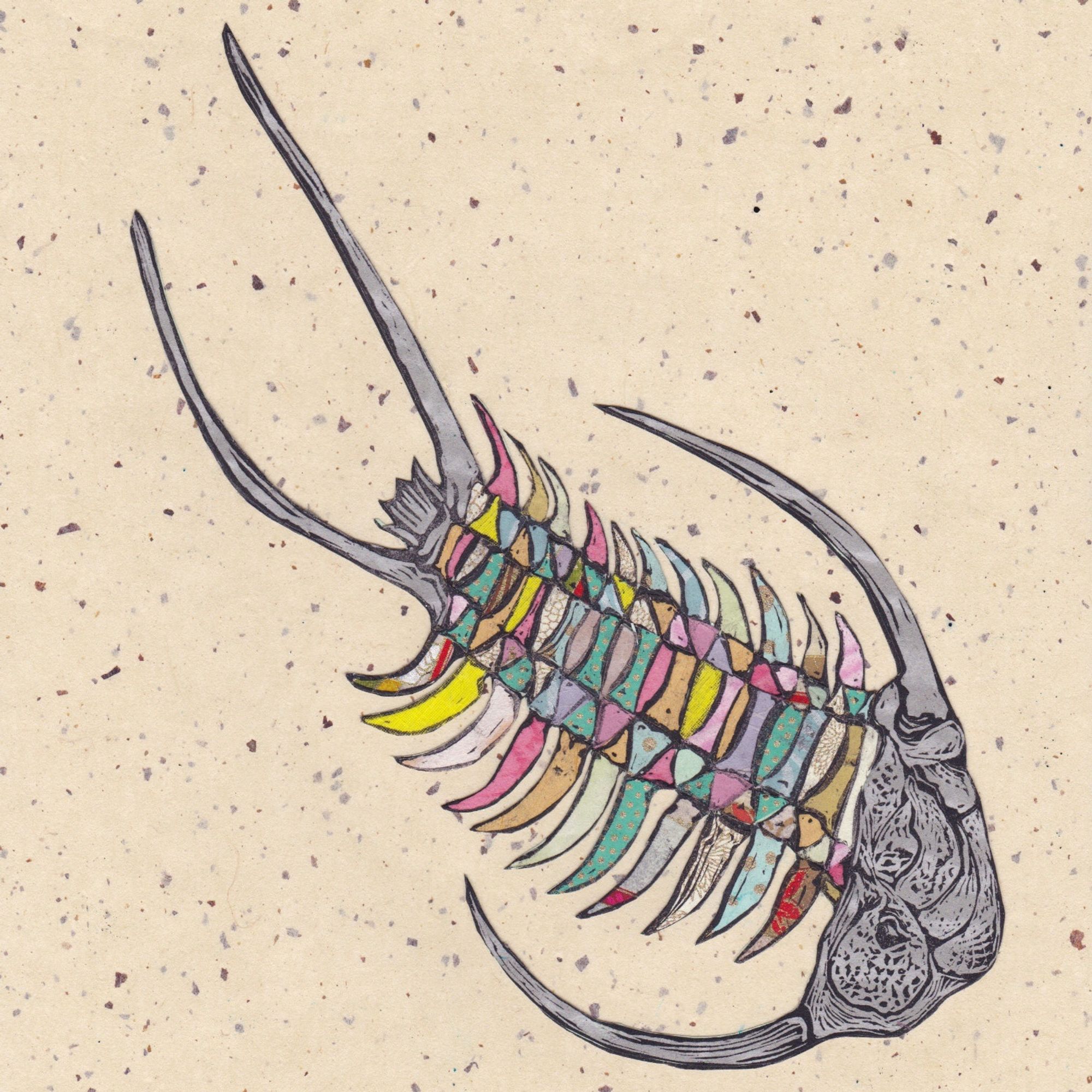 This is one of a series of prints of one of the ubiquitous and wildly successful trilobites, prehistoric creatures which lived for hundreds of millions of years, carved by hand in linoleum, printed onto lovely Japanese washi papers and collaged with papers in different colours. This trilobite was a Cheirurus ingricus which lived during the Late Cambrian through the Early Devonian era. This print is on charcoal coloured paper with imbedded fibres, with the trilobite headed down towards the right corner with front and back on sand coloured paper. Each of many segments is on varied washi in pinks, yellows, blues, turquoise, purples, orange, red and more, predominately pale, pastel colours.