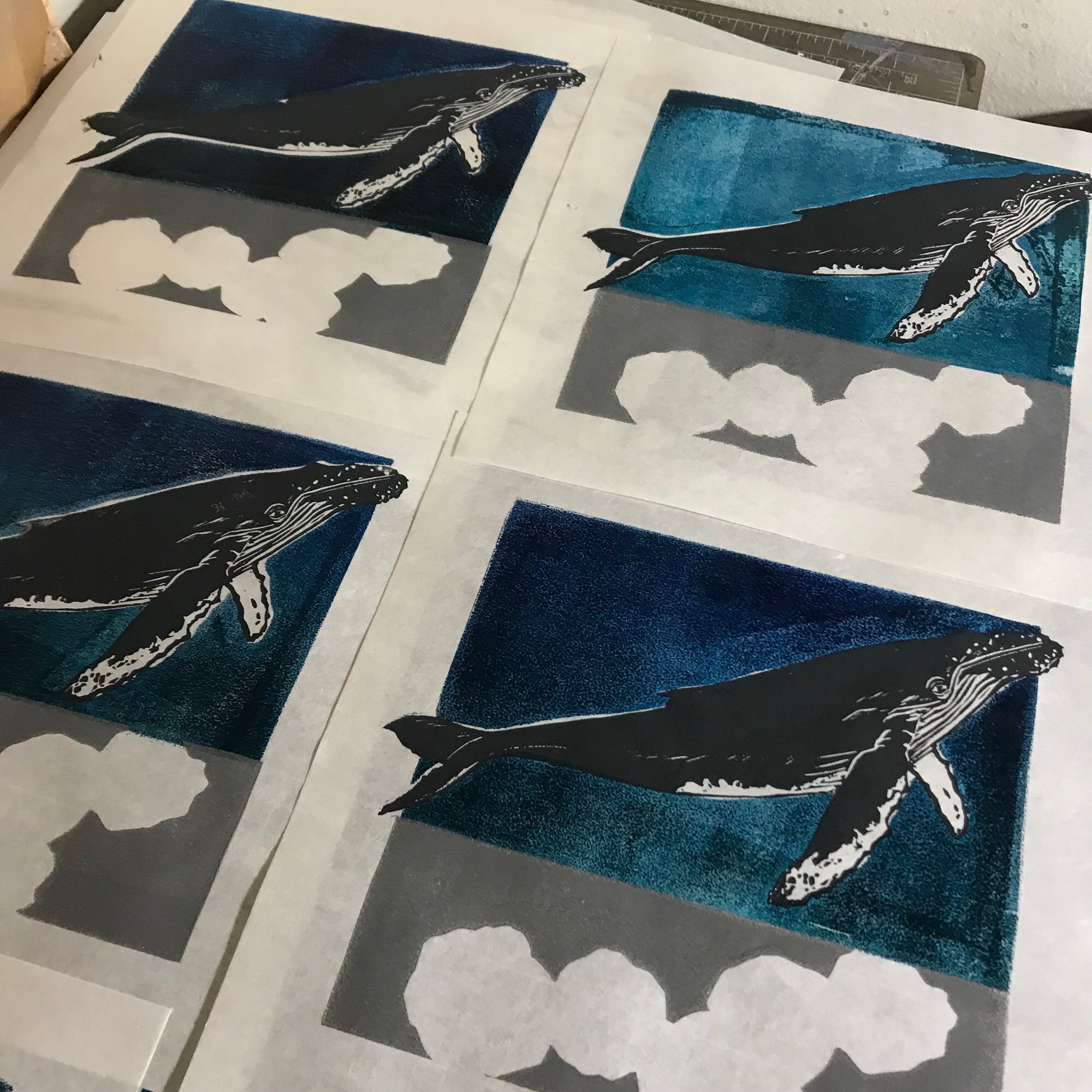 Prints laid out on a table with green cutting mat to dry. Parts of 4 square, 8” x 8” prints on white washi paper can be seen. The upper two thirds are printed as a deep blue-green rectangle with missing unprinted white silhouette of a humpback whale now filled with a linocut print of the humpback in dark blue-grey. The bottom third is a grey rectangle with the missing silhouettes of 6 barnacles unprinted in white.