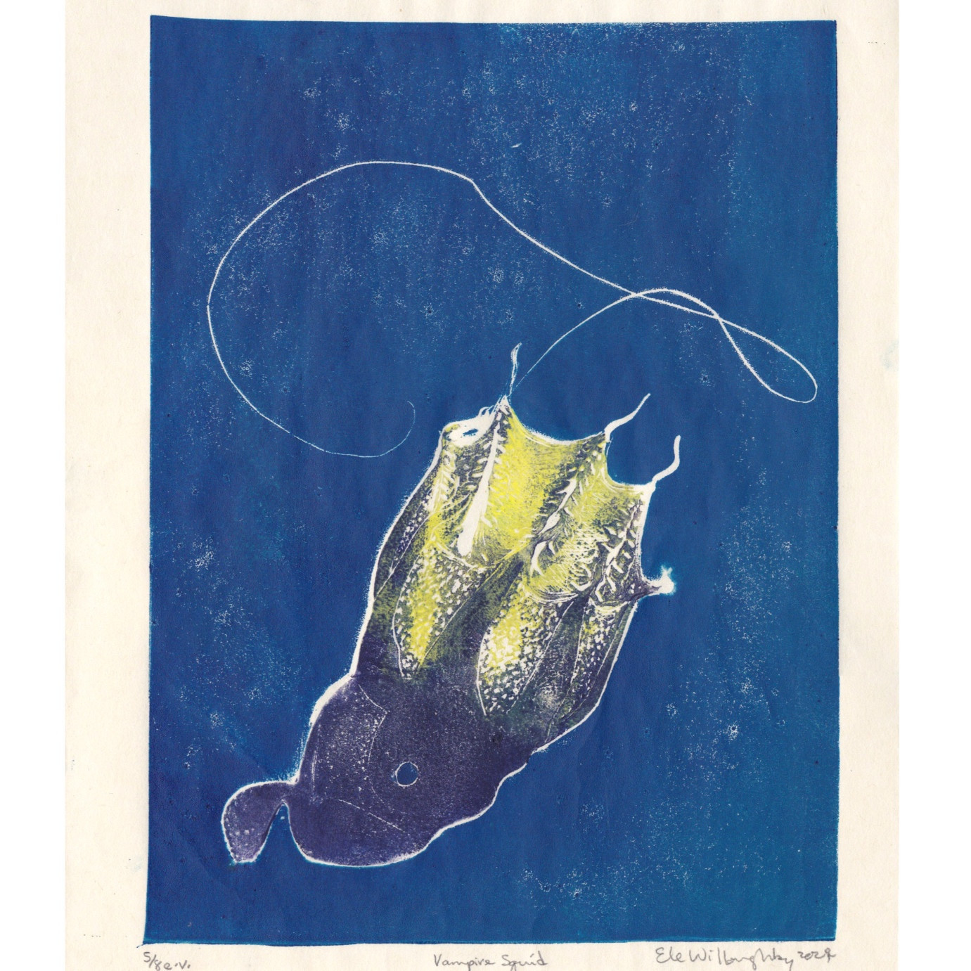 Linocut print shows a vampire squid, head down with one fin and one eye visible, its legs and distinctive webbing of skin between them point up and there is its long filament looping upwards. The head and legs are purple and webbing yellow against dark blue water.