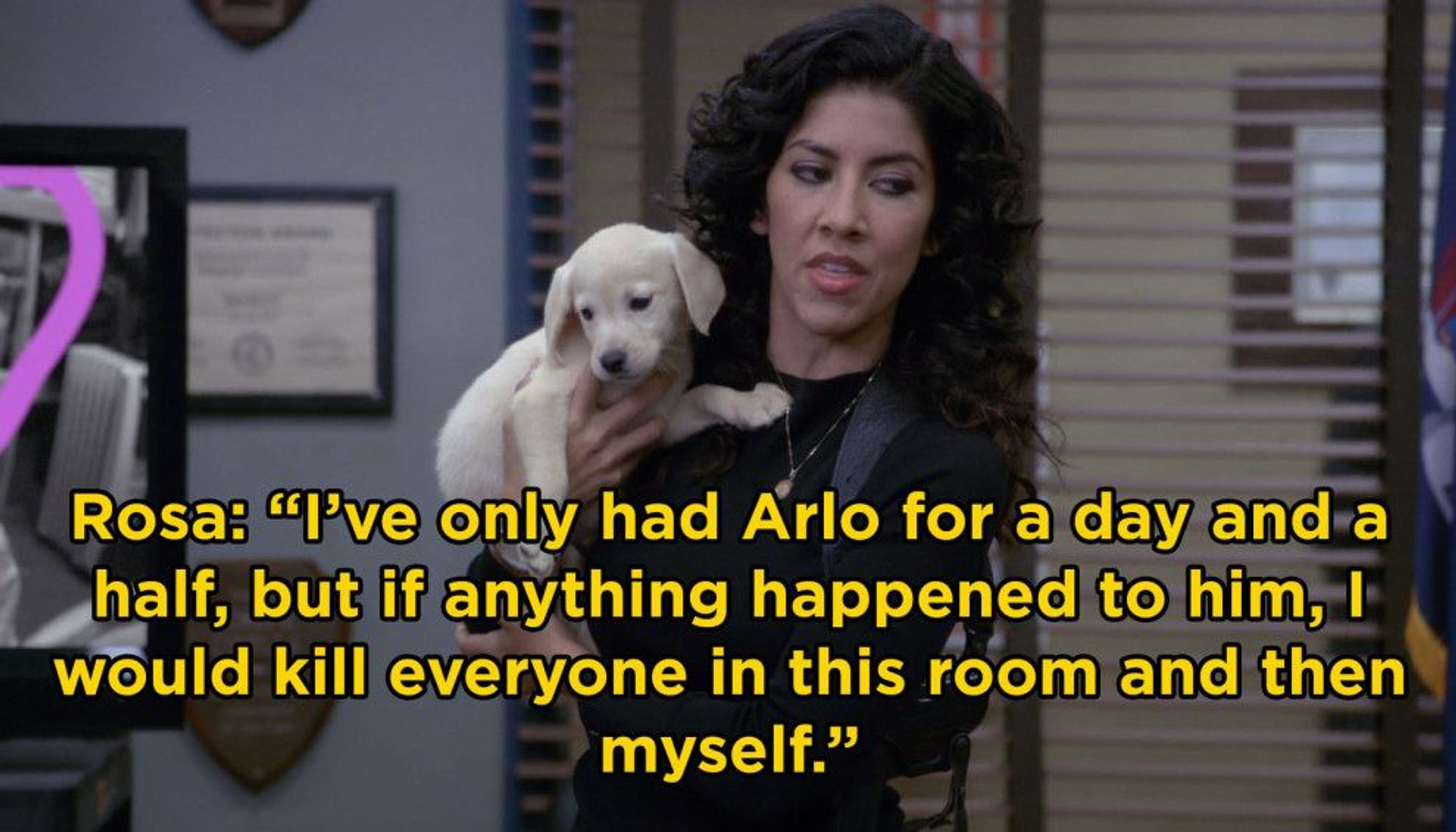 brooklyn 99 rosa meme 

"I've only had Arlo for a day and a half, but if anything happened to him, I would kill everyone in this room and then myself."