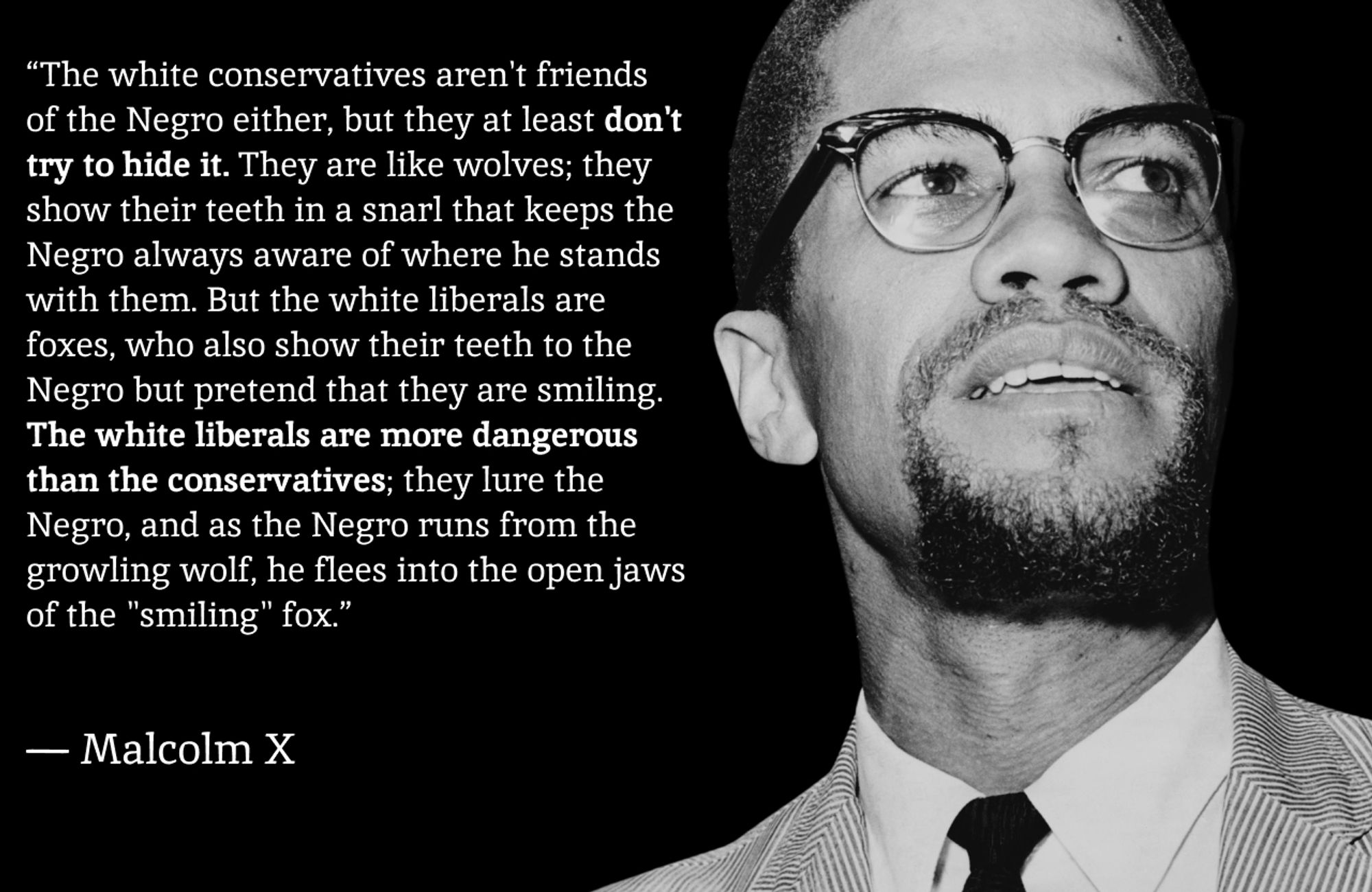 “The white conservatives aren't friends of the Negro either, but they at least don't try to hide it. They are like wolves; they show their teeth in a snarl that keeps the Negro always aware of where he stands with them. But the white liberals are foxes, who also show their teeth to the Negro but pretend that they are smiling. The white liberals are more dangerous than the conservatives; they lure the Negro, and as the Negro runs from the growling wolf, he flees into the open jaws of the "smiling" fox.”