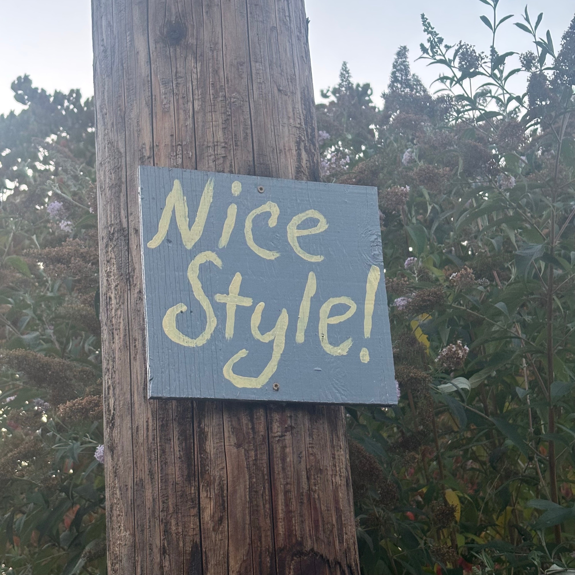 “Nice style!” sign on a telephone pole
