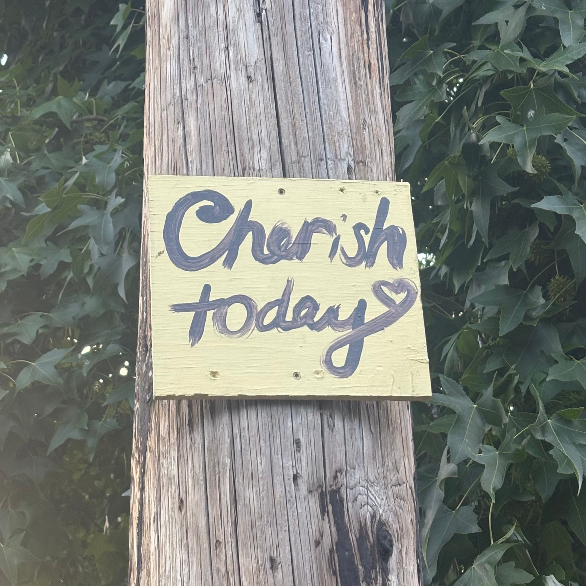 “Cherish today (heart)” sign on a telephone pole