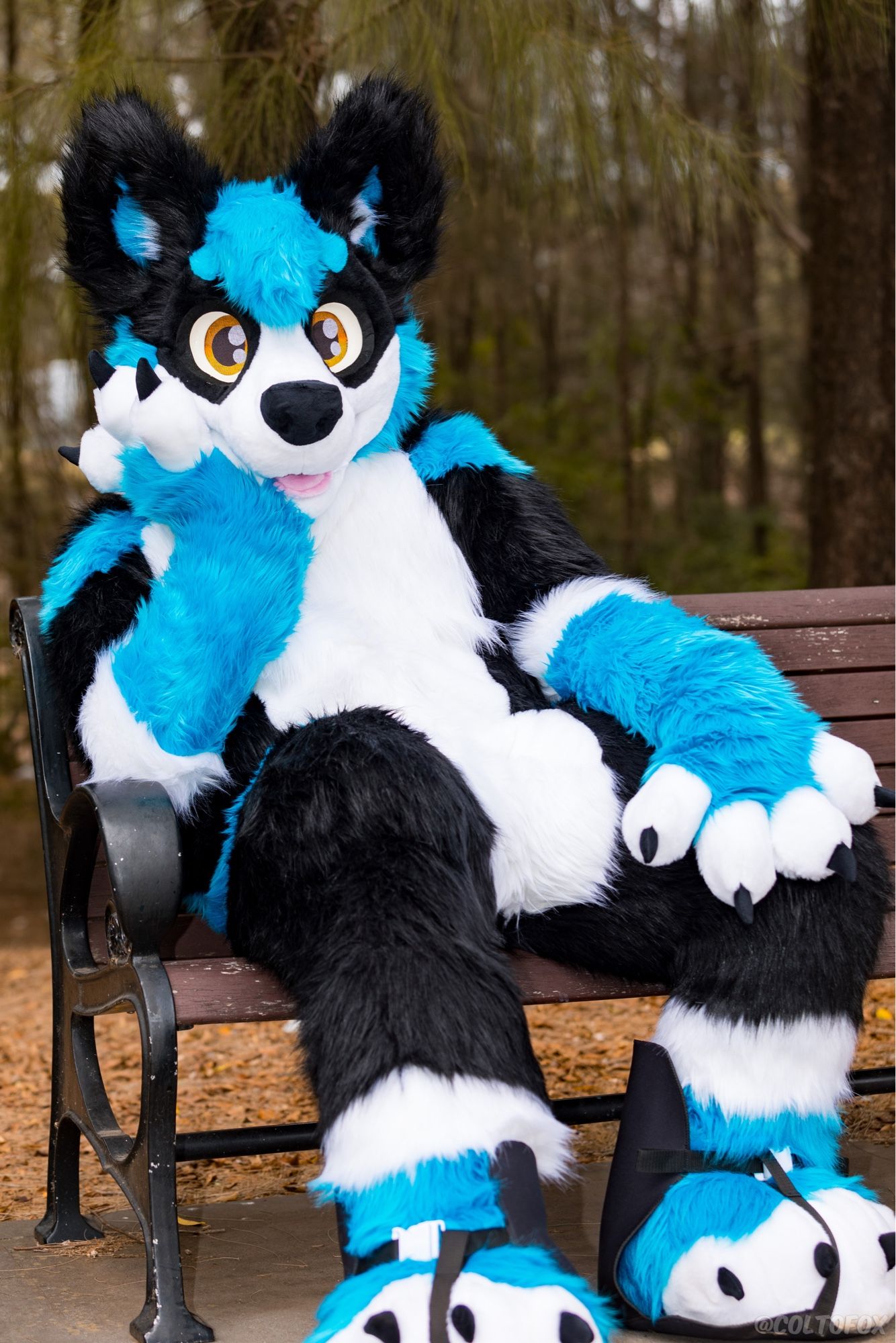 A blue, black and white dog fursuit sitting on a chair inviting you to join