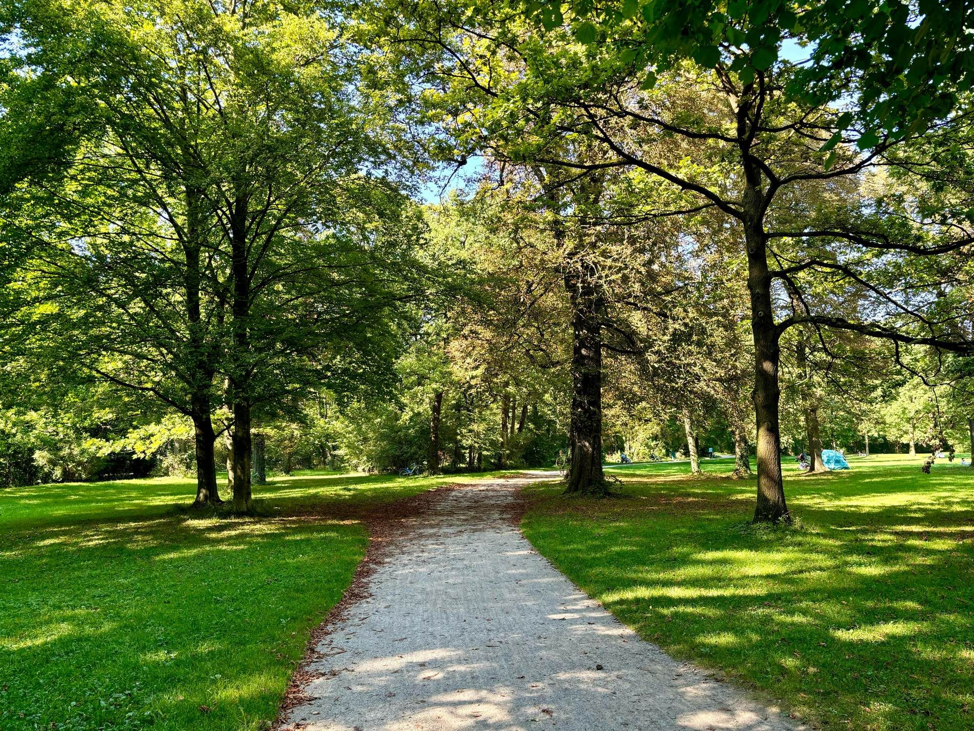 A walking path in the Englischer Garten, Munich