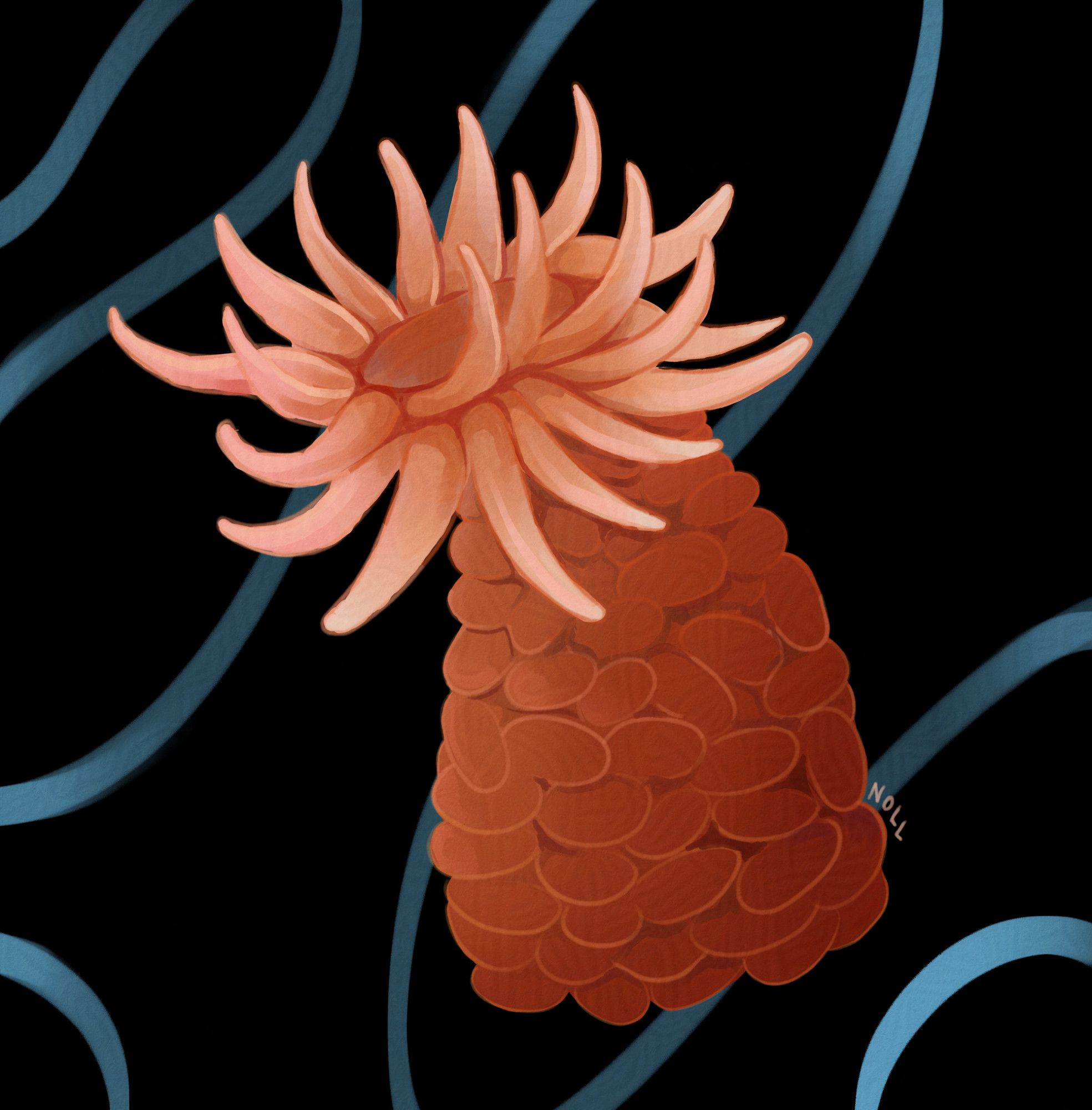 Digital art of a peachy orange sea anenome on a dark background with light blue swirls.