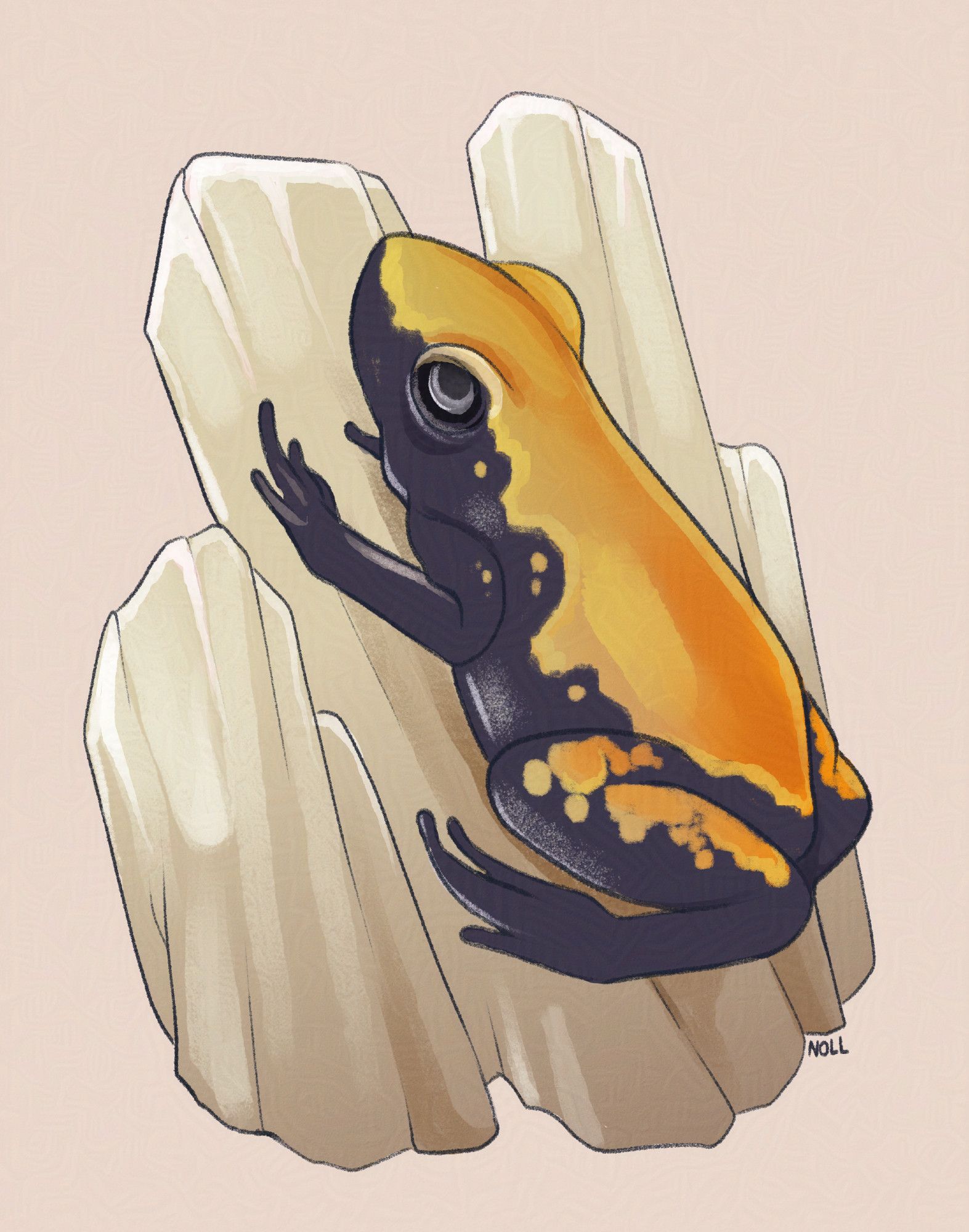 Digital art of a splashback poison frog, a black frog with an orange splotchy topside and spots like someone threw orange paint on it, crouching on the side of a group of yellow quartz crystals.