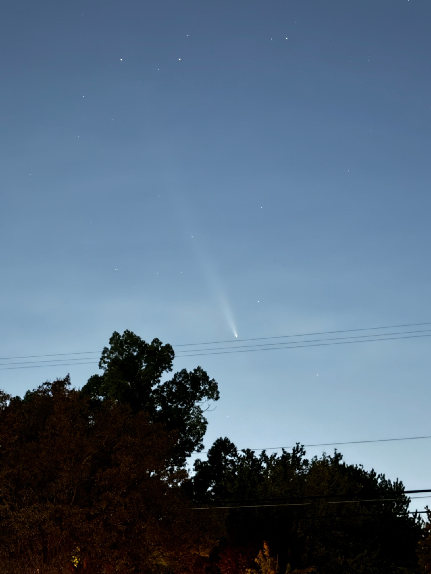 Oort Cloud comet above the trees