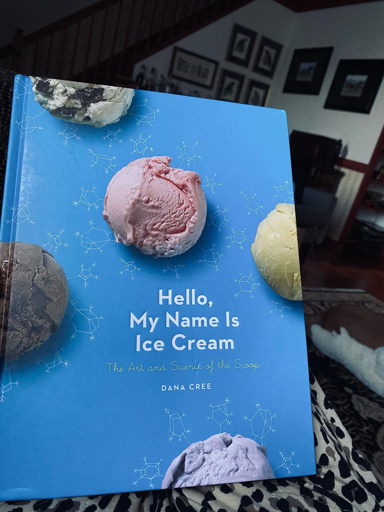 Book cover of “hello, my name is Ice cream” a recipe book