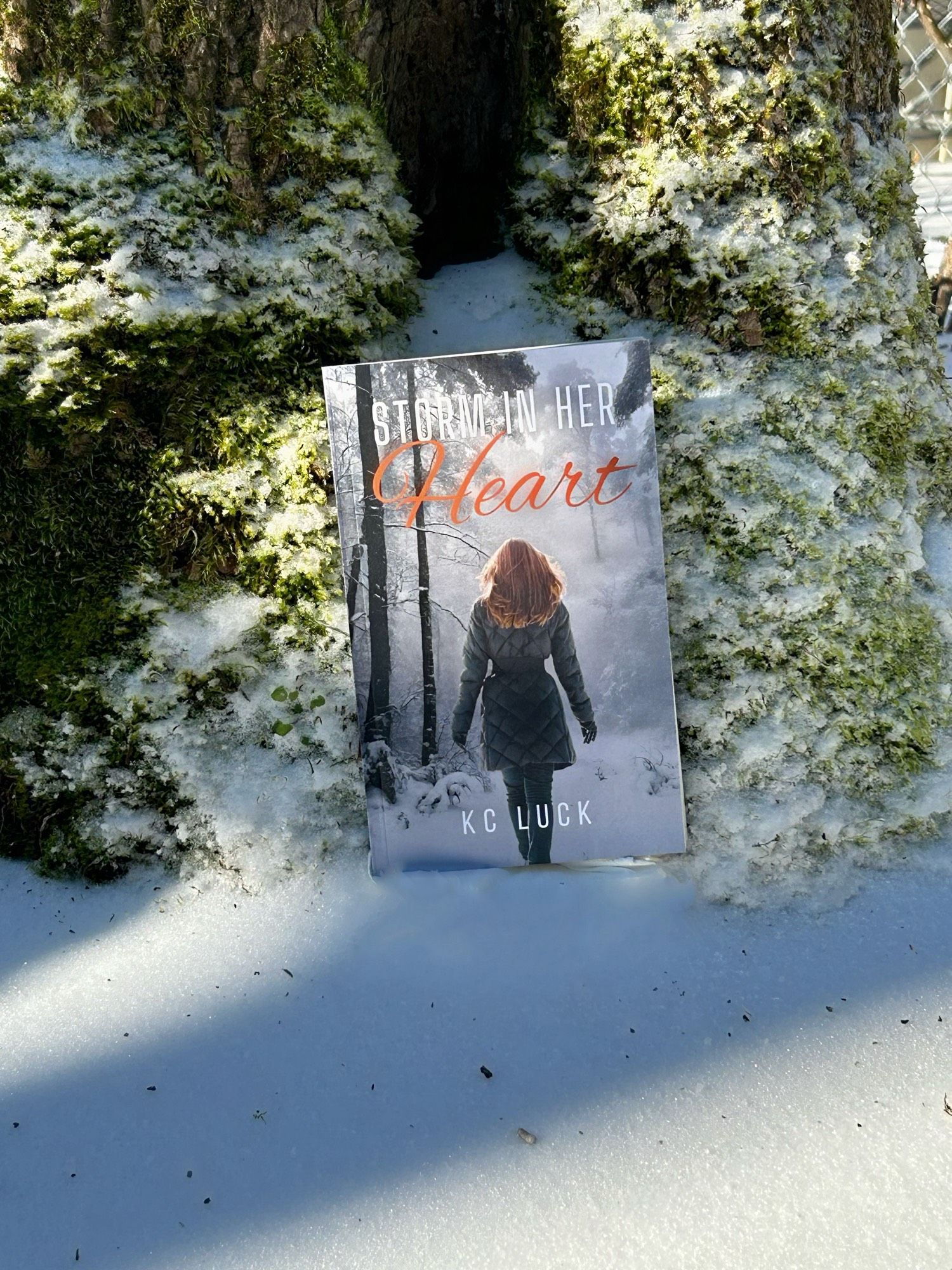 The book Storm in Her Heart against a tree trunk covered in moss and snow.