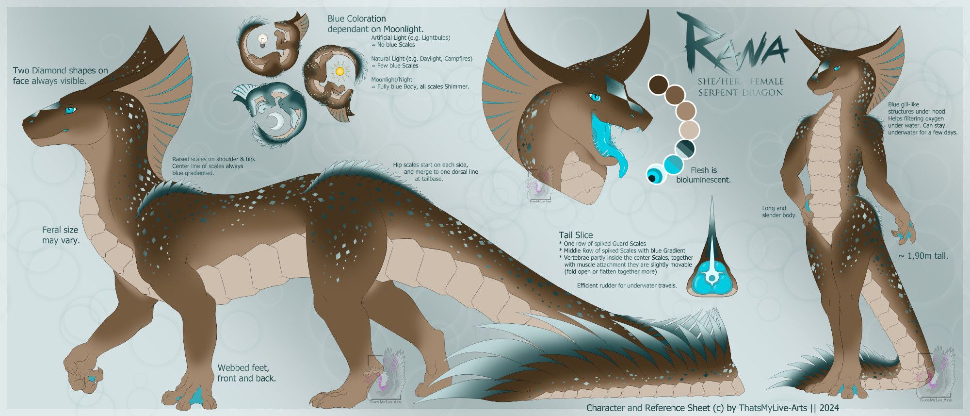 Reference Sheet of my OC, Rana. A Serpent-like Dragon. Mostly brown with blue gradiented accents, diamond-shaped scales, has a hood.