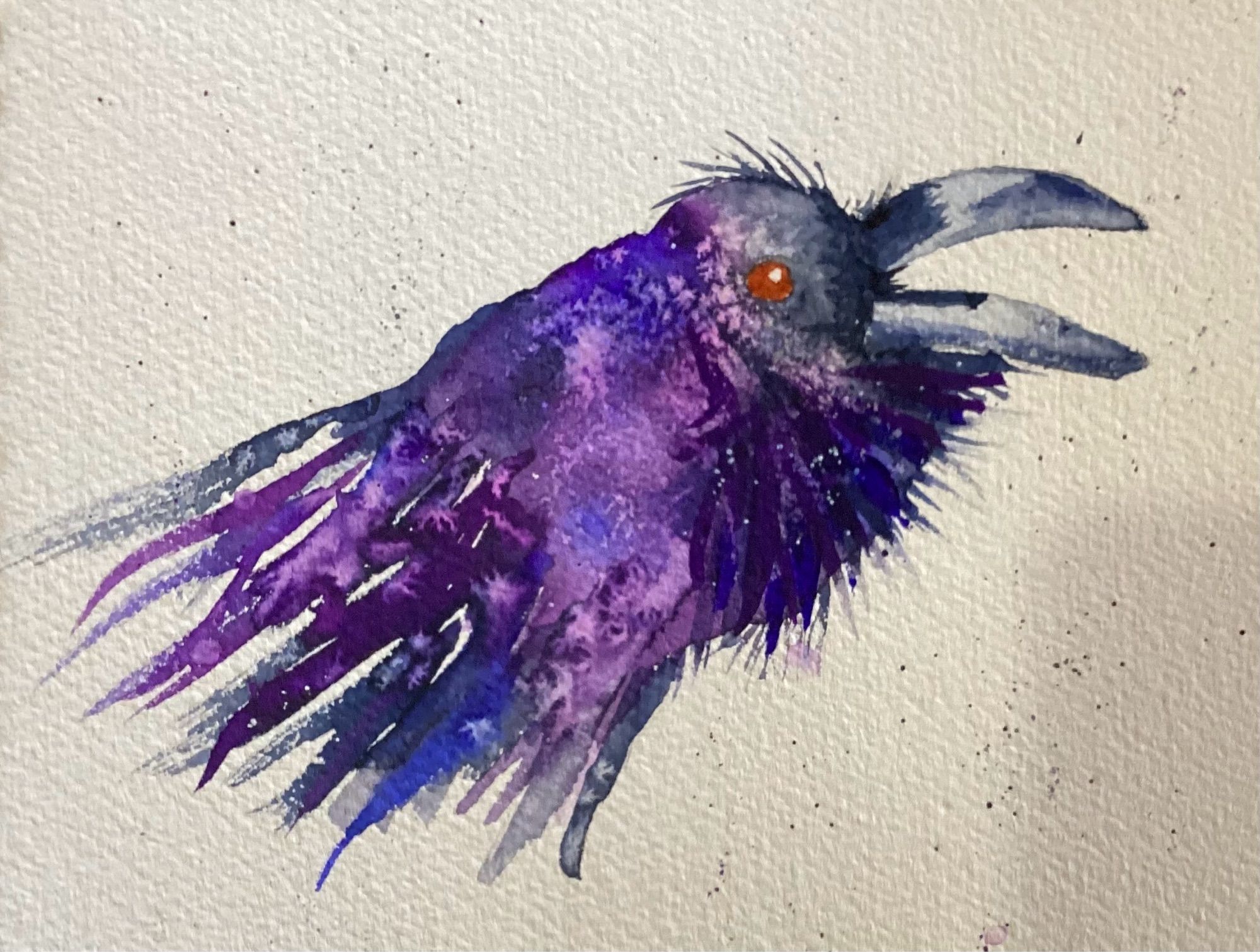 Raven head in purple, blue, and dark gray. His beak is wide open and his throat feathers ruffled out.