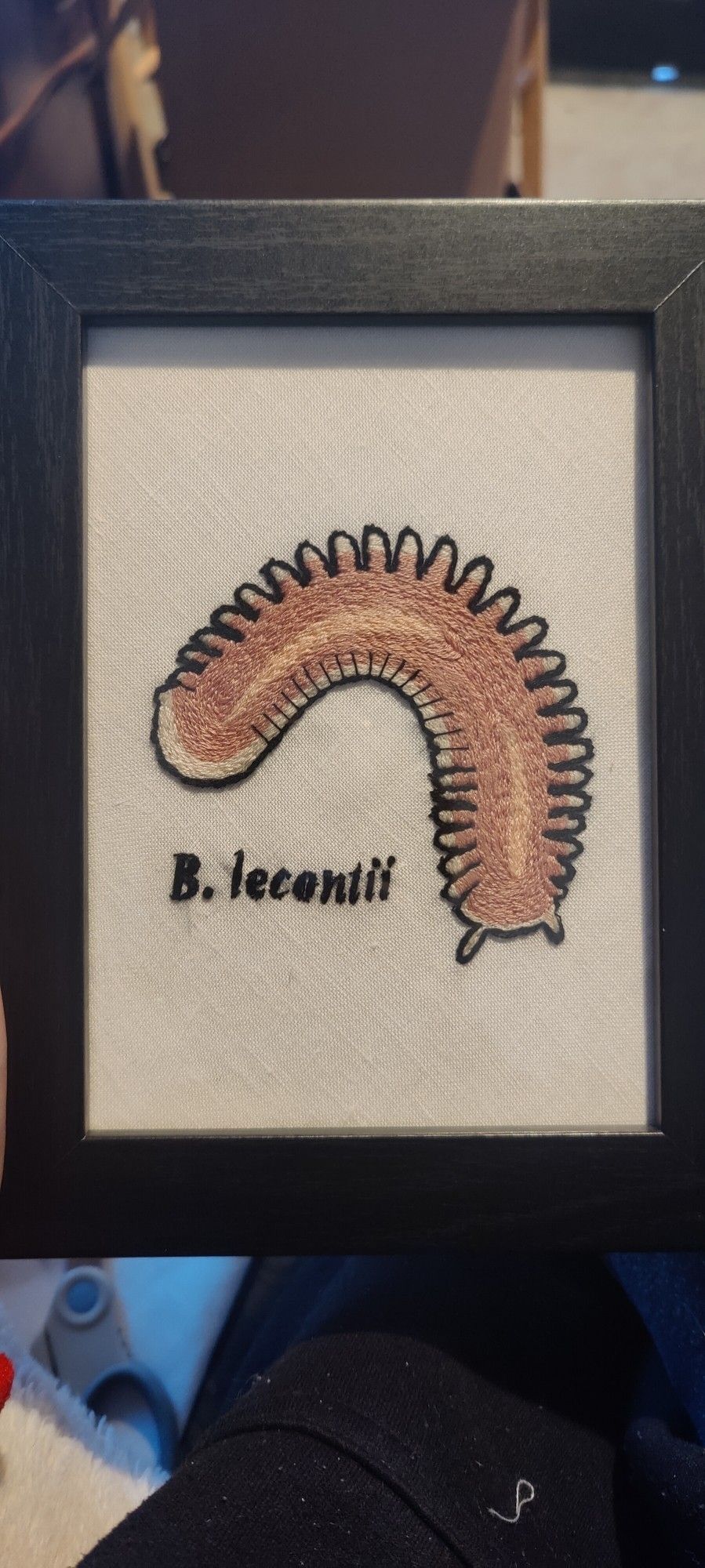 Framed picture of an embroidered piece featuring the millipede B. Lecontii