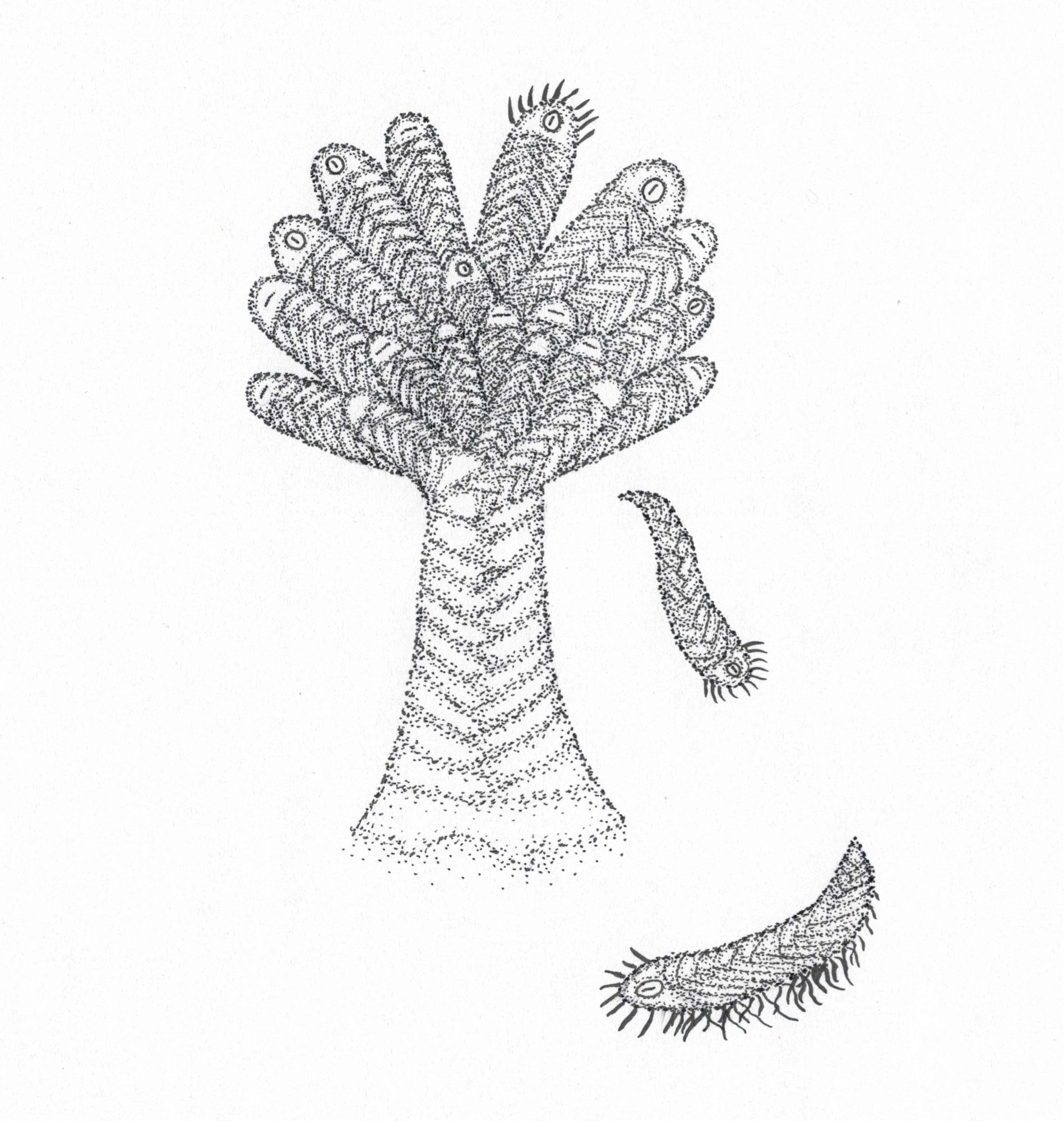 An alien plant with eyes whose leaves detach and walk off as indepenten worm-like organisms.