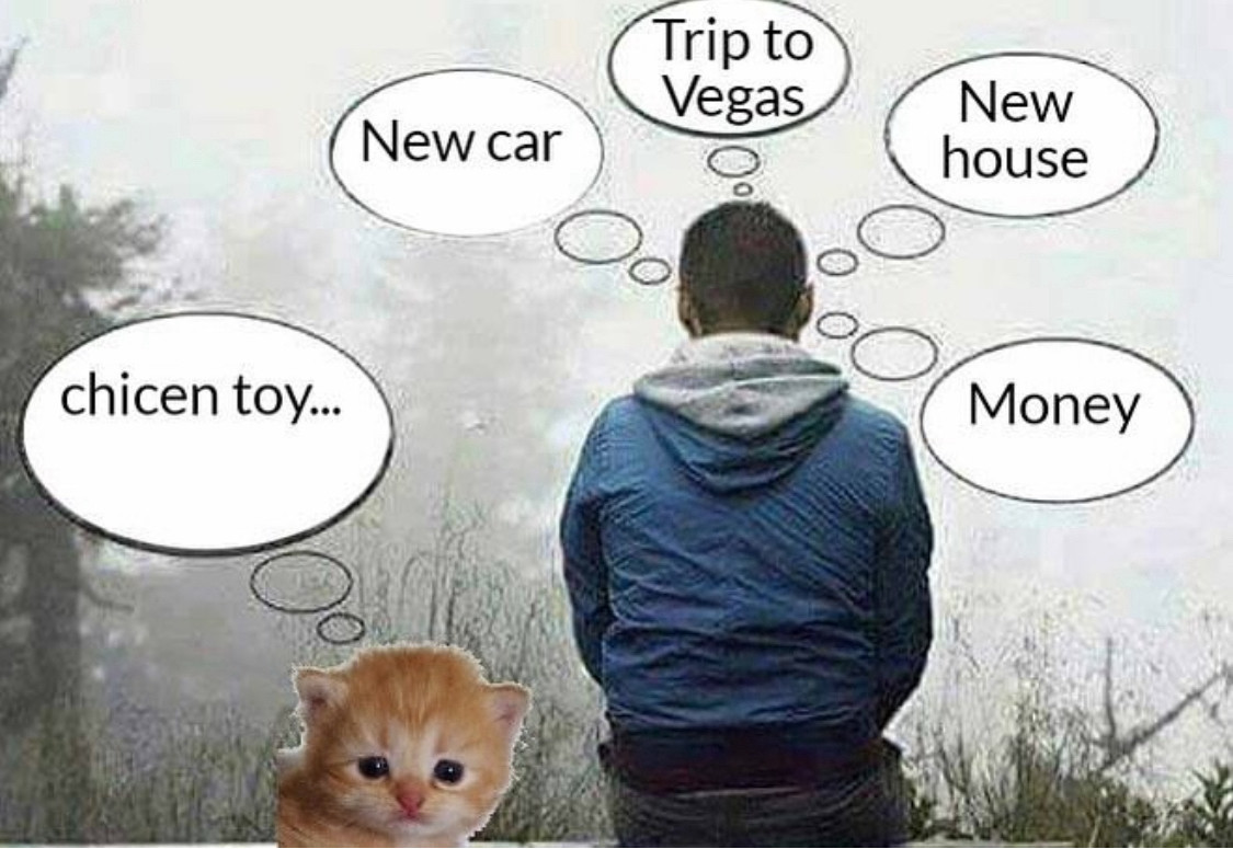 A meme where a person is thinking about a new car, a trip to Vegas, a new house, and money while a kitten sits next to him and thinks of “chicen toy…”