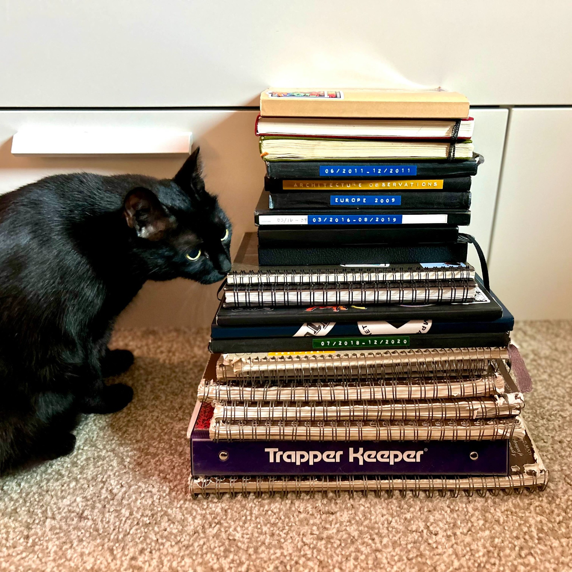 A cat inspecting a pile of sketchbooks