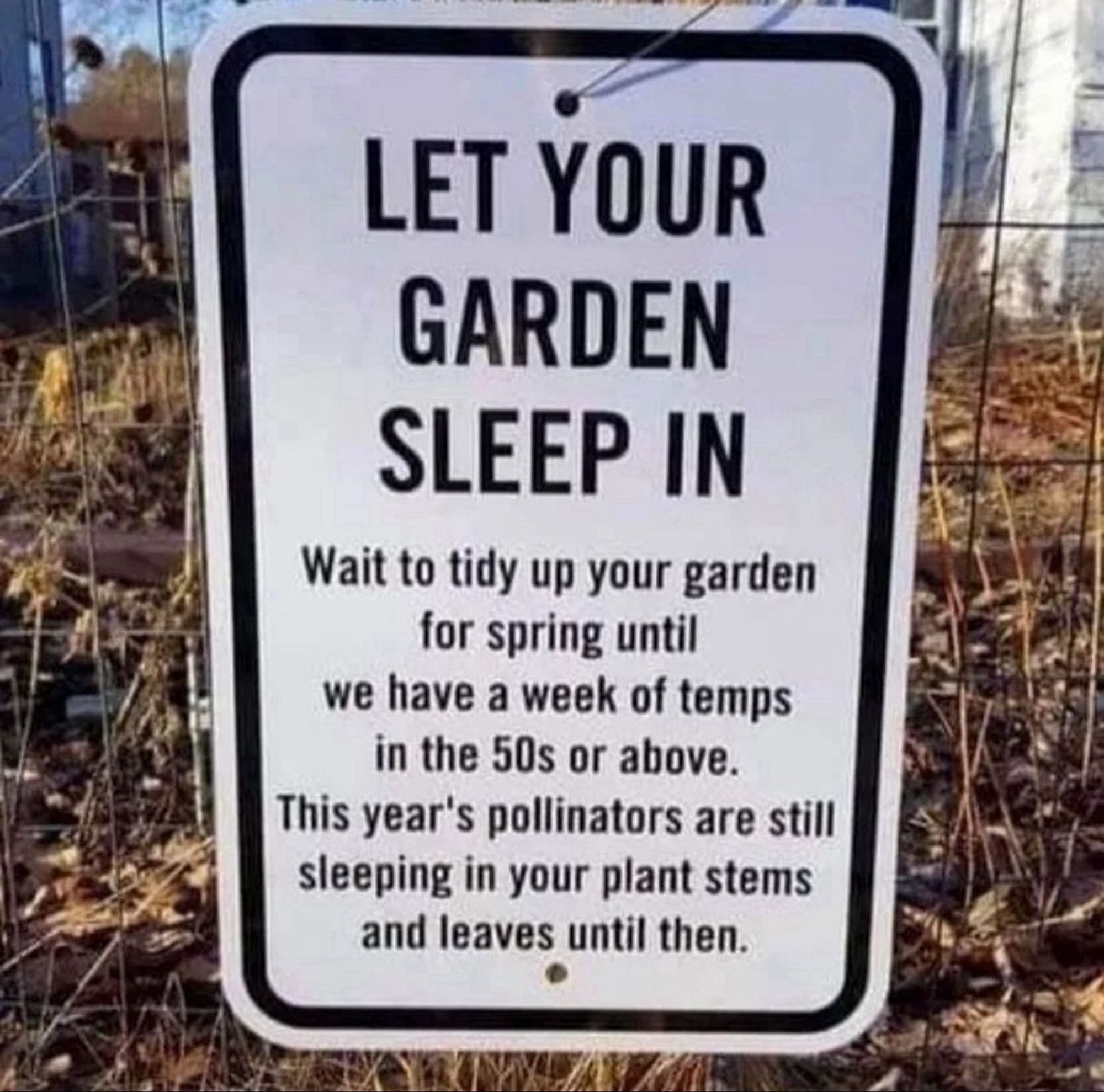 Schild mit folgendem Text: LET YOUR GARDEN SLEEP IN
Wait to tidy up your garden for spring until
we have a week of temps in the 50s or above.
This year's pollinators are still sleeping in your plant stems and leaves until then.