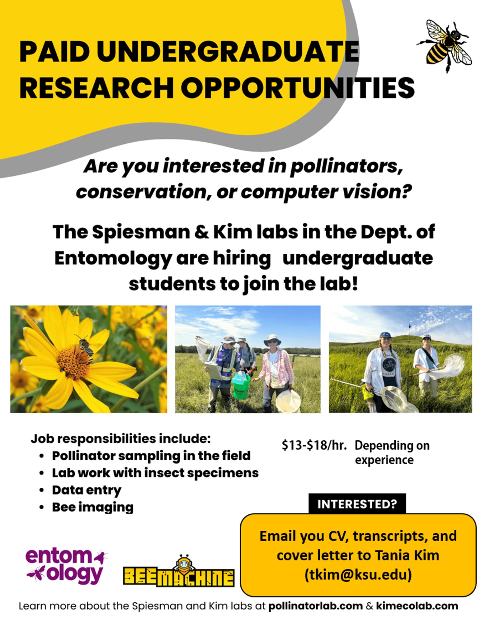 Flyer for undergrad help in pollinator research at Kansas State University.  Reach out to Dr. Tania Kim at tkim@ksu.edu or Dr. Brian Spiesman at bspiesman@ksu.edu for more details.