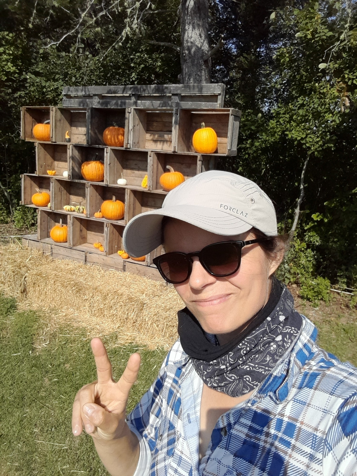 Votre lesbienne préférée devant une déco de jardin en empilement de caisses de bois (4x5) avec des citrouilles dedans