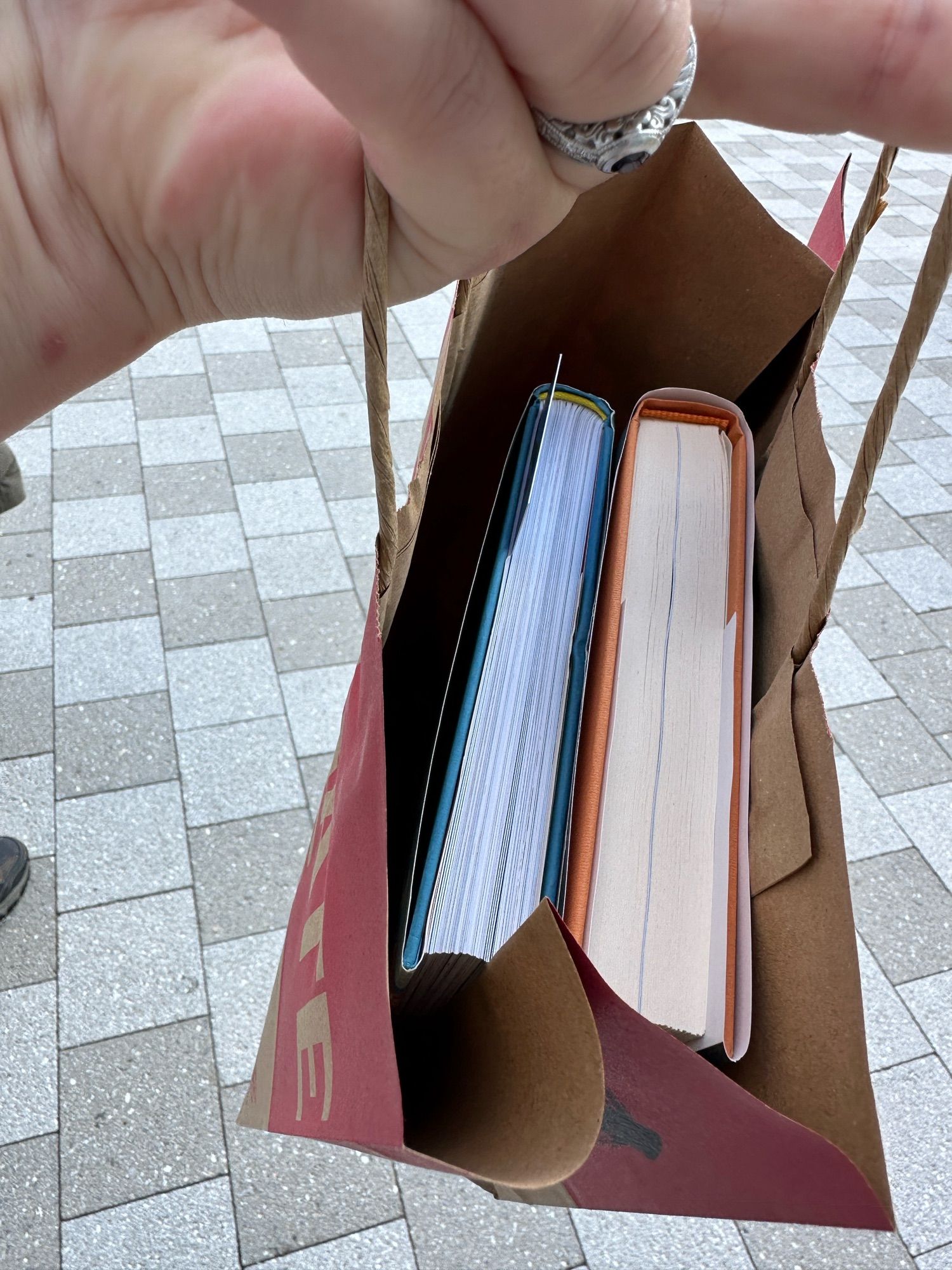 My hand holding a paper bookstore bag with two hardcover books in it