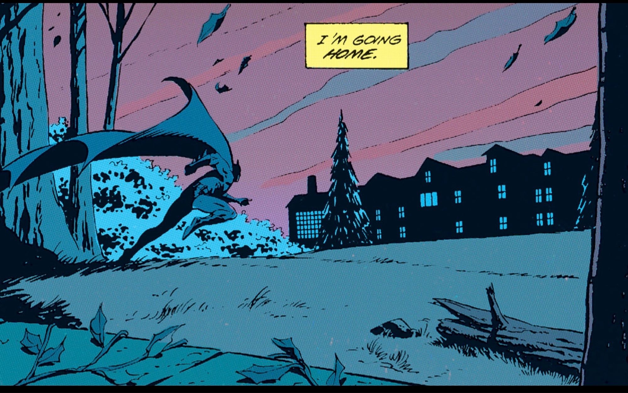 It’s nighttime. Batman runs from the trees surrounding Wayne Manor towards the Manor “I’m going HOME,“ he thinks.