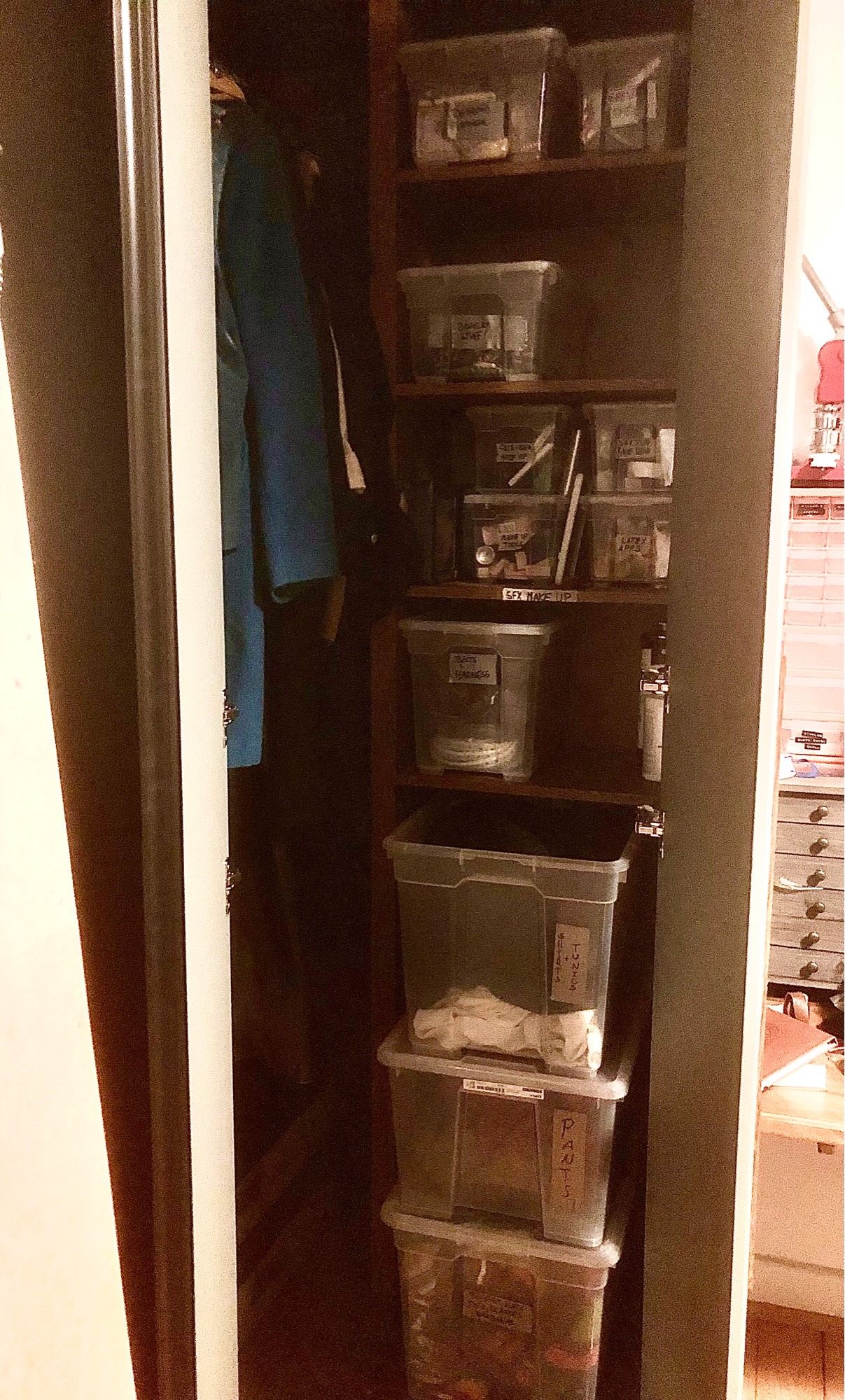 My larp closet. Still half empty, but things in it are sorted in clearly marked boxes!
With labels like: Pants! Shirts and Tunics! The Prop Box! Armor! Wigs! Everything that goes on the head!